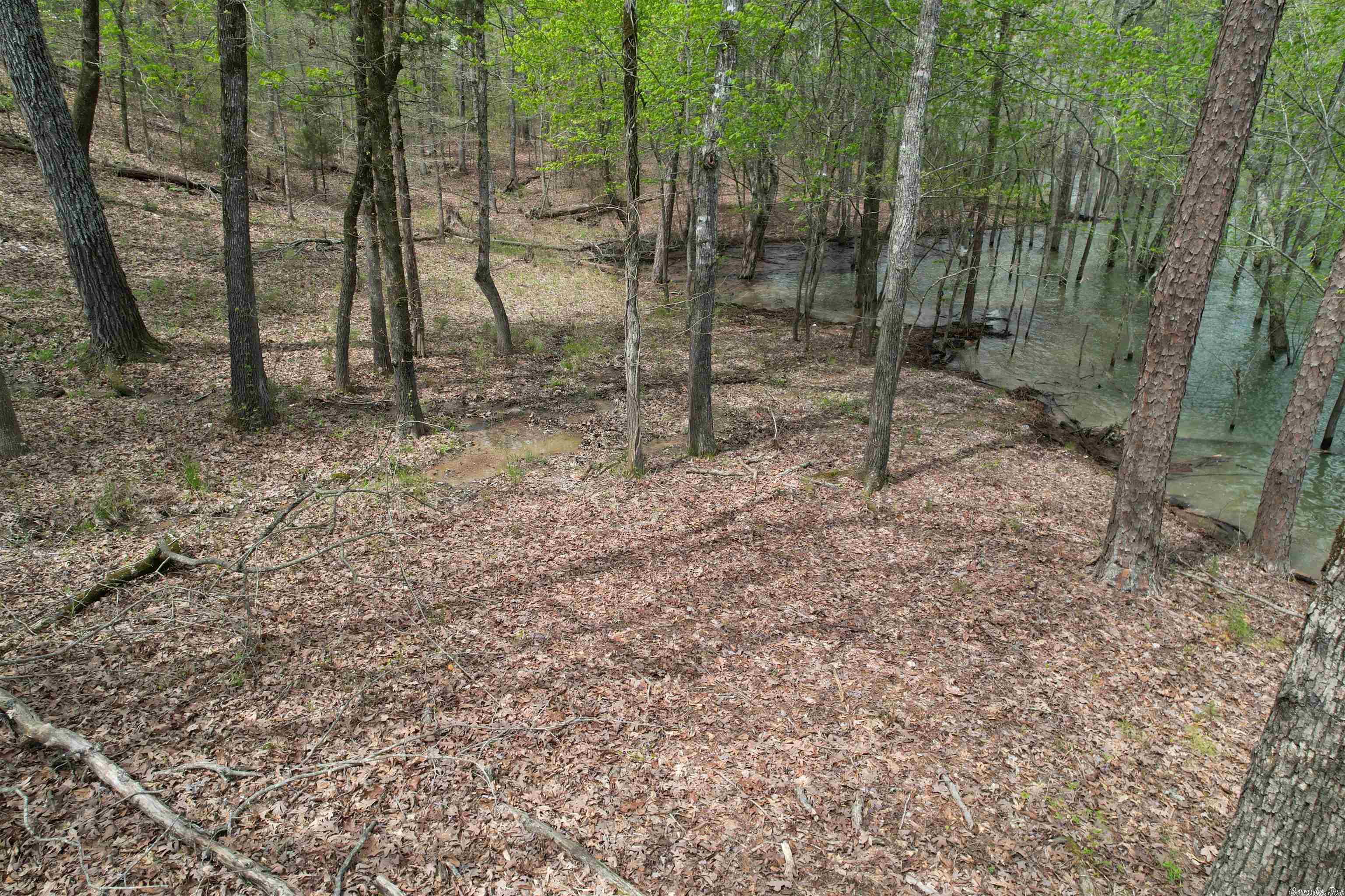 Ridgeview Place Cove Creek - Land