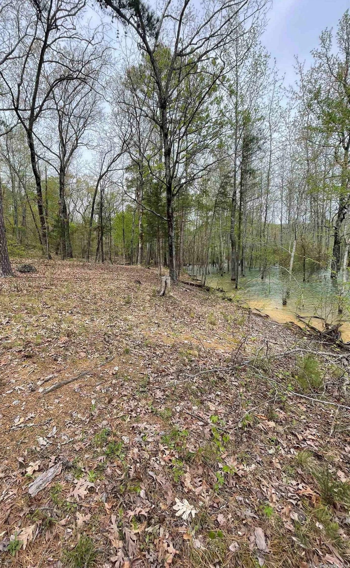 Ridgeview Place Cove Creek - Land