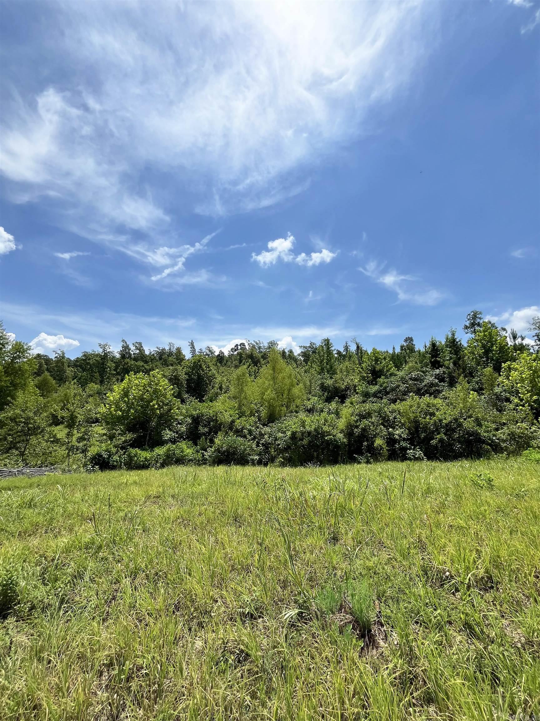 Looking for land in Pulaski County? Take a tour of this 6.45 +/- acres property! This property has a creek that runs through it, wooded and partially cleared and more! It's ready for your imagination to come to life!