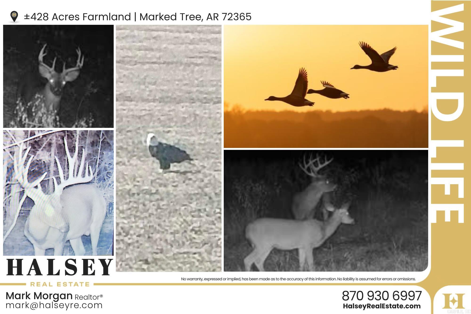 Metes & Bounds - Farm