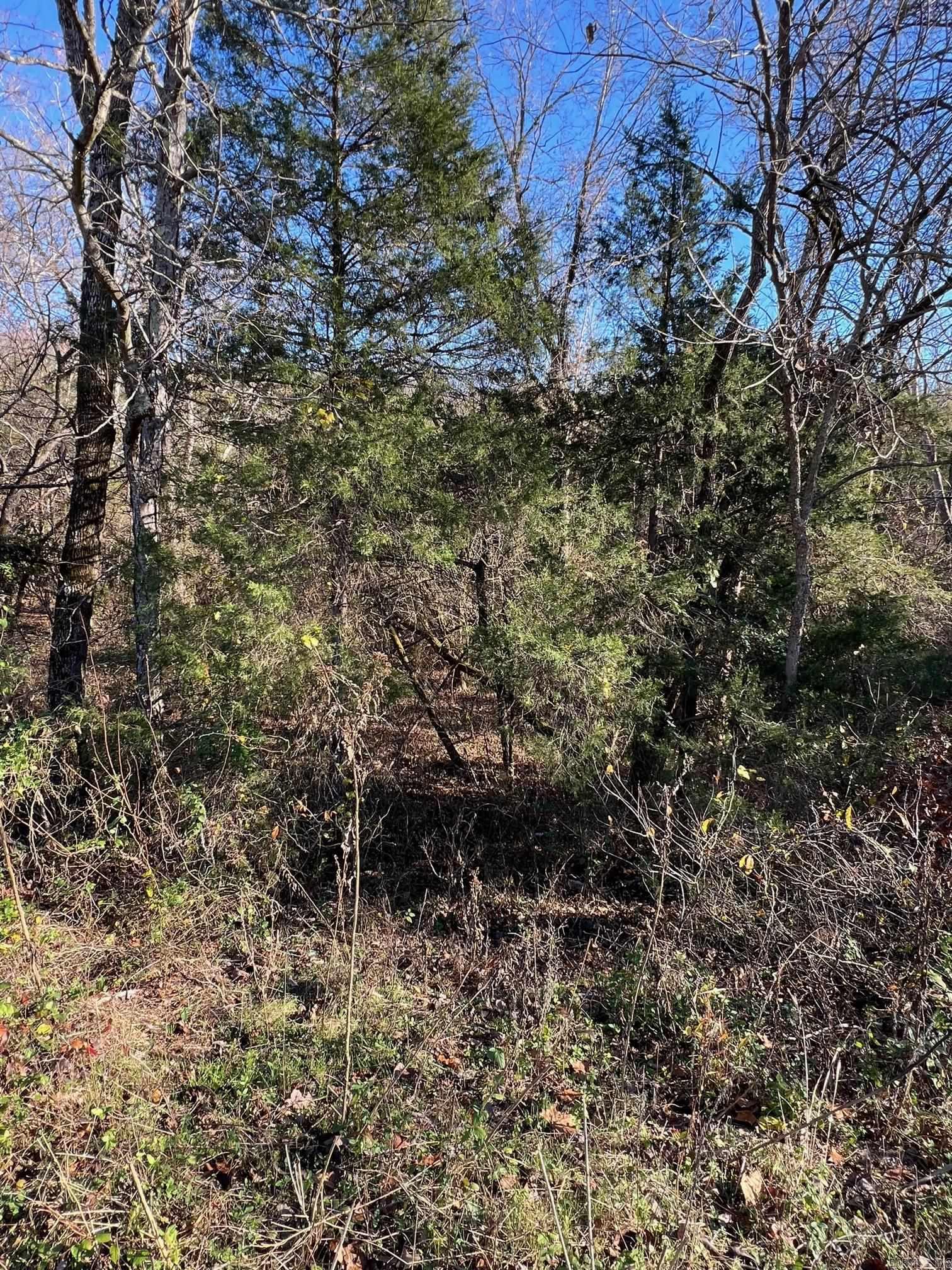 Not in Subdivision - Land