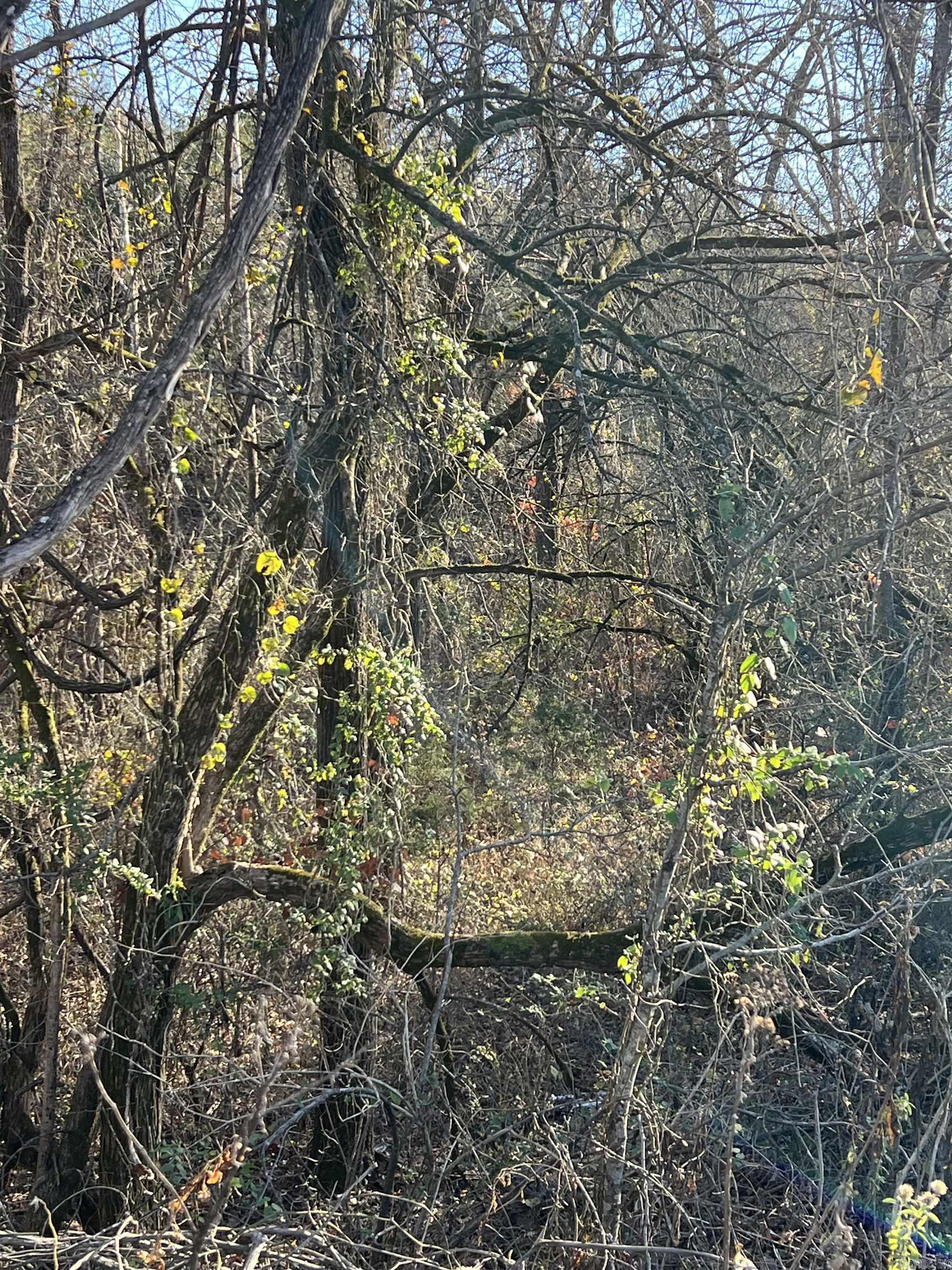 Not in Subdivision - Land