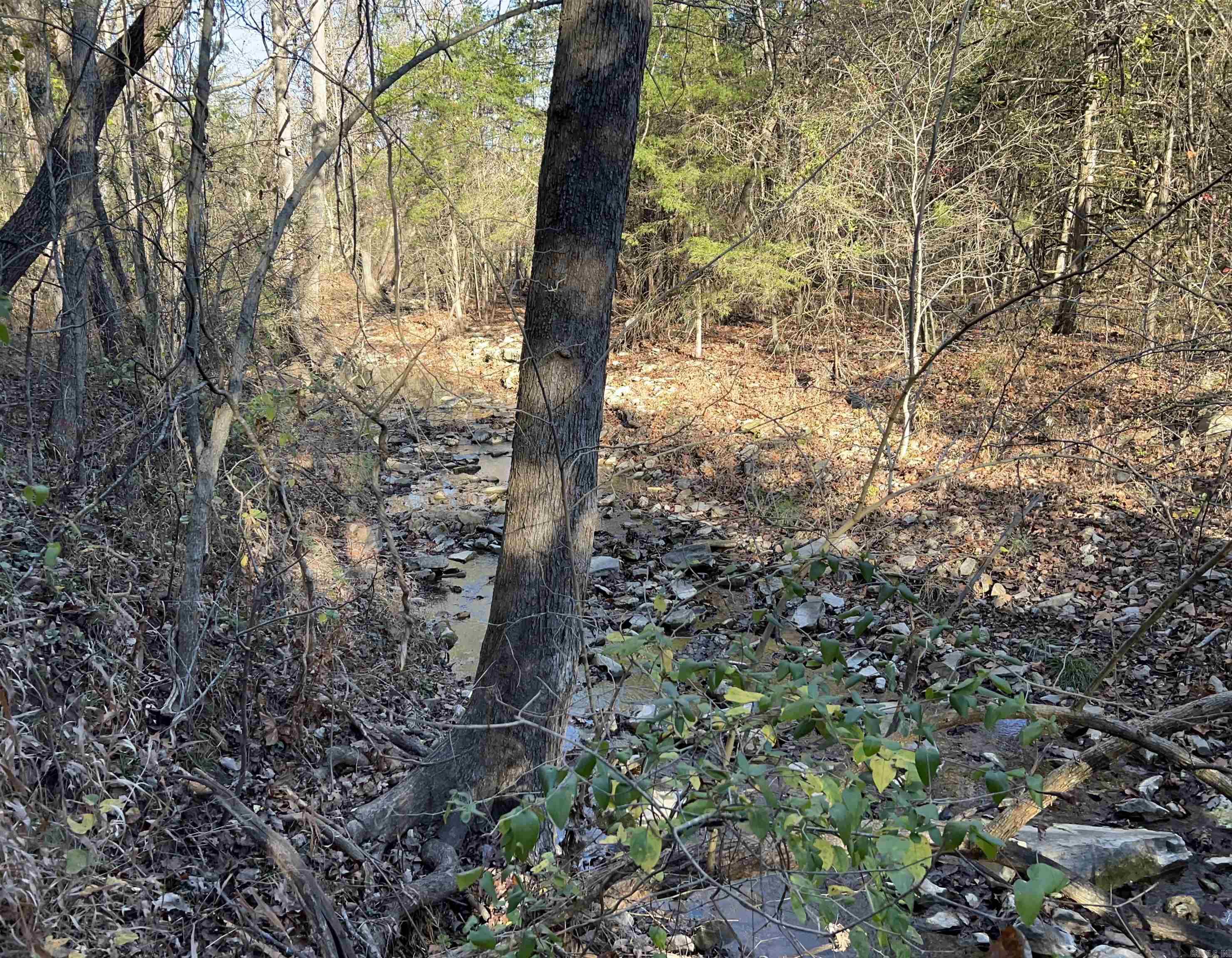 Not in Subdivision - Land