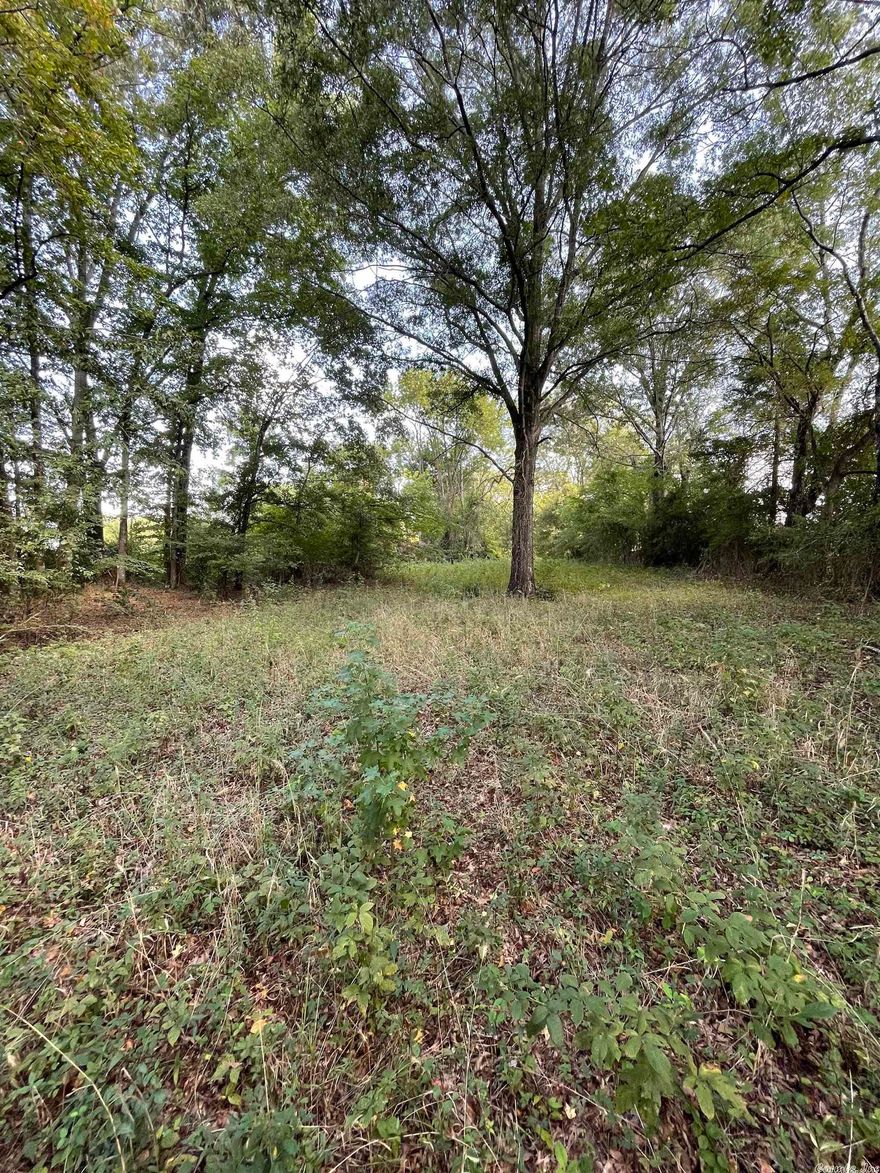 Welcome to Market, three beautiful acres in Greenbrier! This land is ready and waiting on a family to buy and build their country (but close to the city) home.  Convenient to US 65 and to Conway. Electric and water available at the road. Don't miss out, call today for a showing!