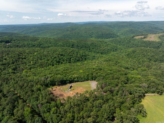 DENVER RD, CLINTON, AR 72031 - Image d2b6dedfc2621e3066ccb3b584a856ea/1545466680