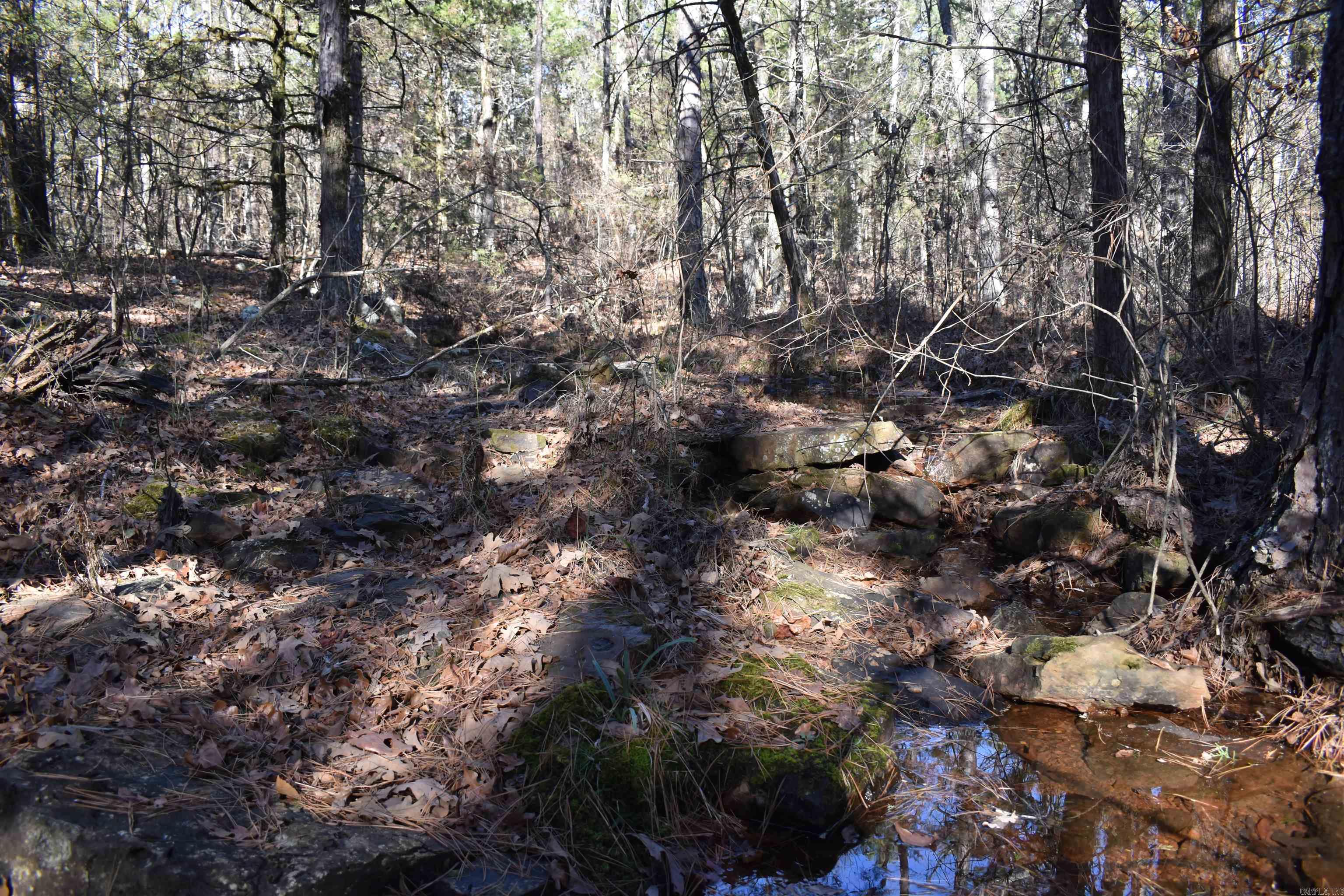 Metes & Bounds - Land