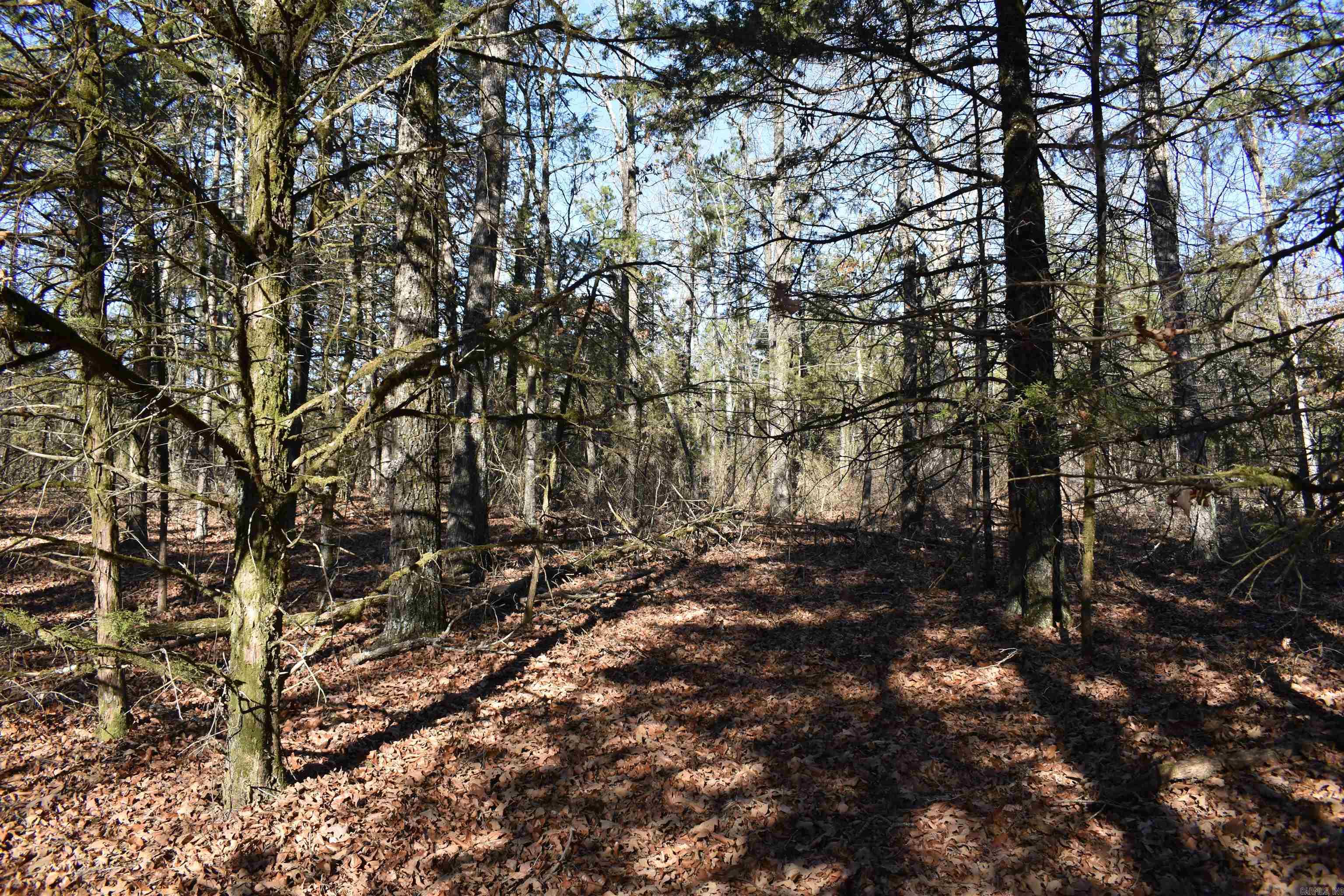 Metes & Bounds - Land