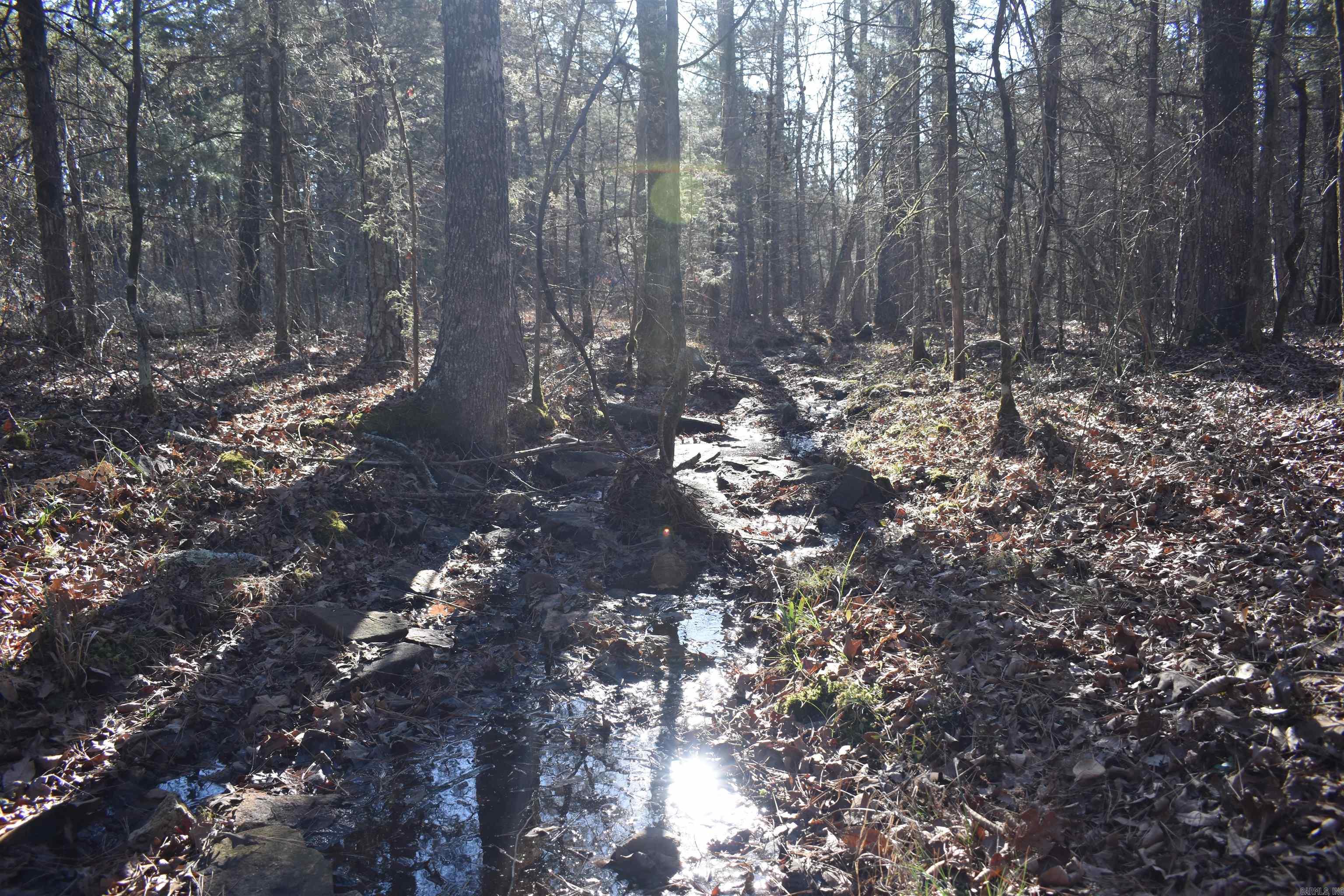 Metes & Bounds - Land