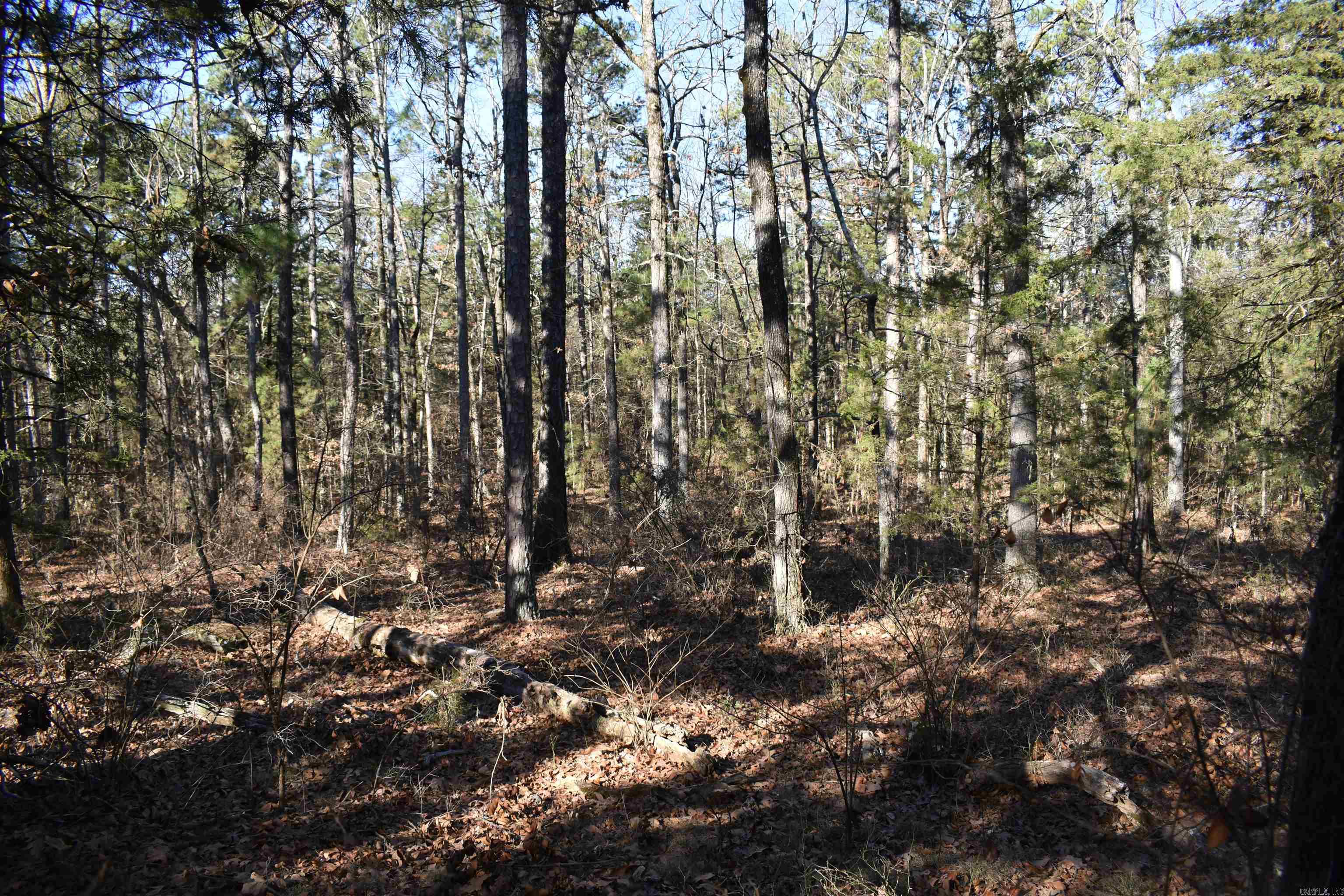 Metes & Bounds - Land