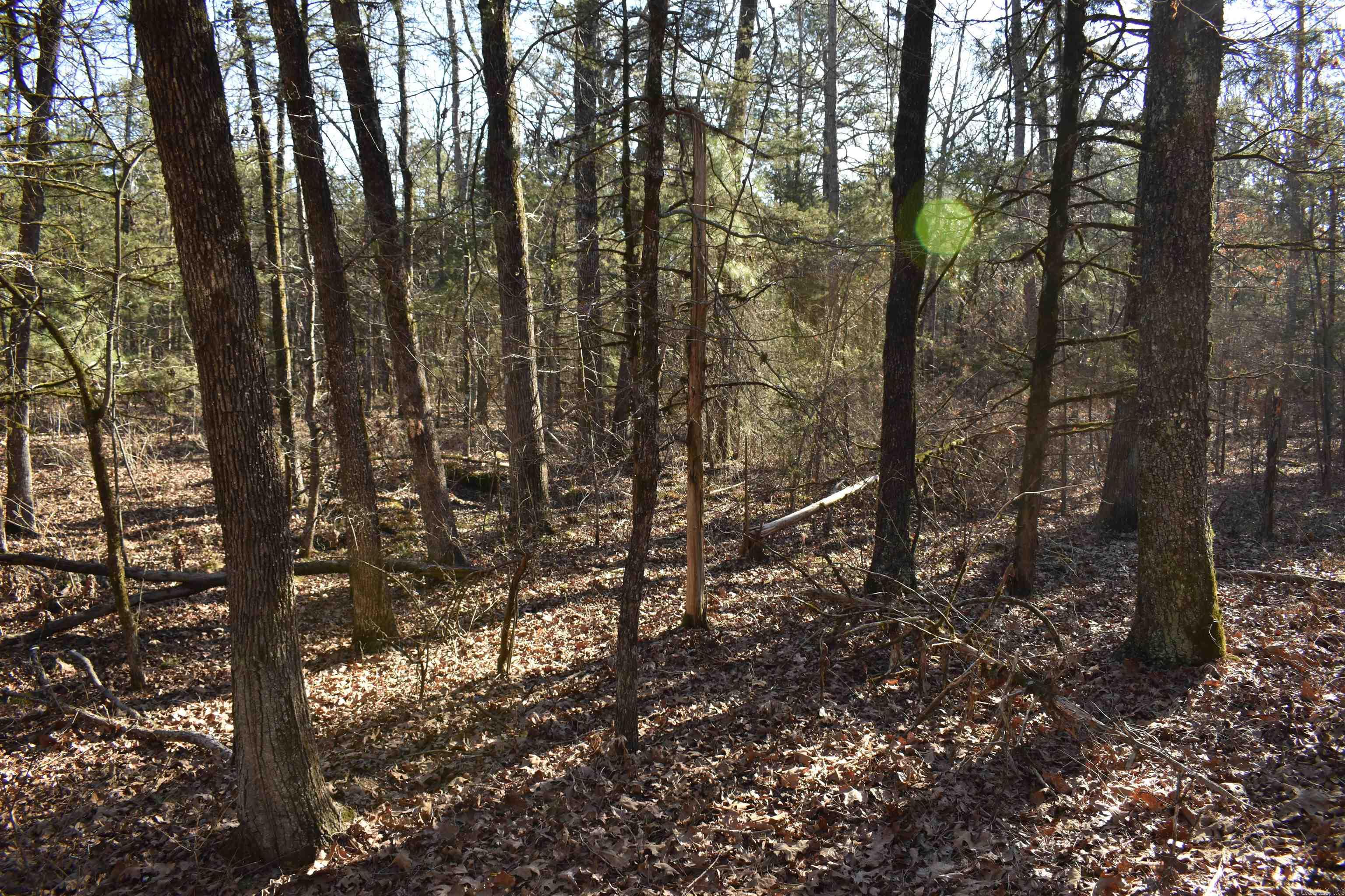 Metes & Bounds - Land