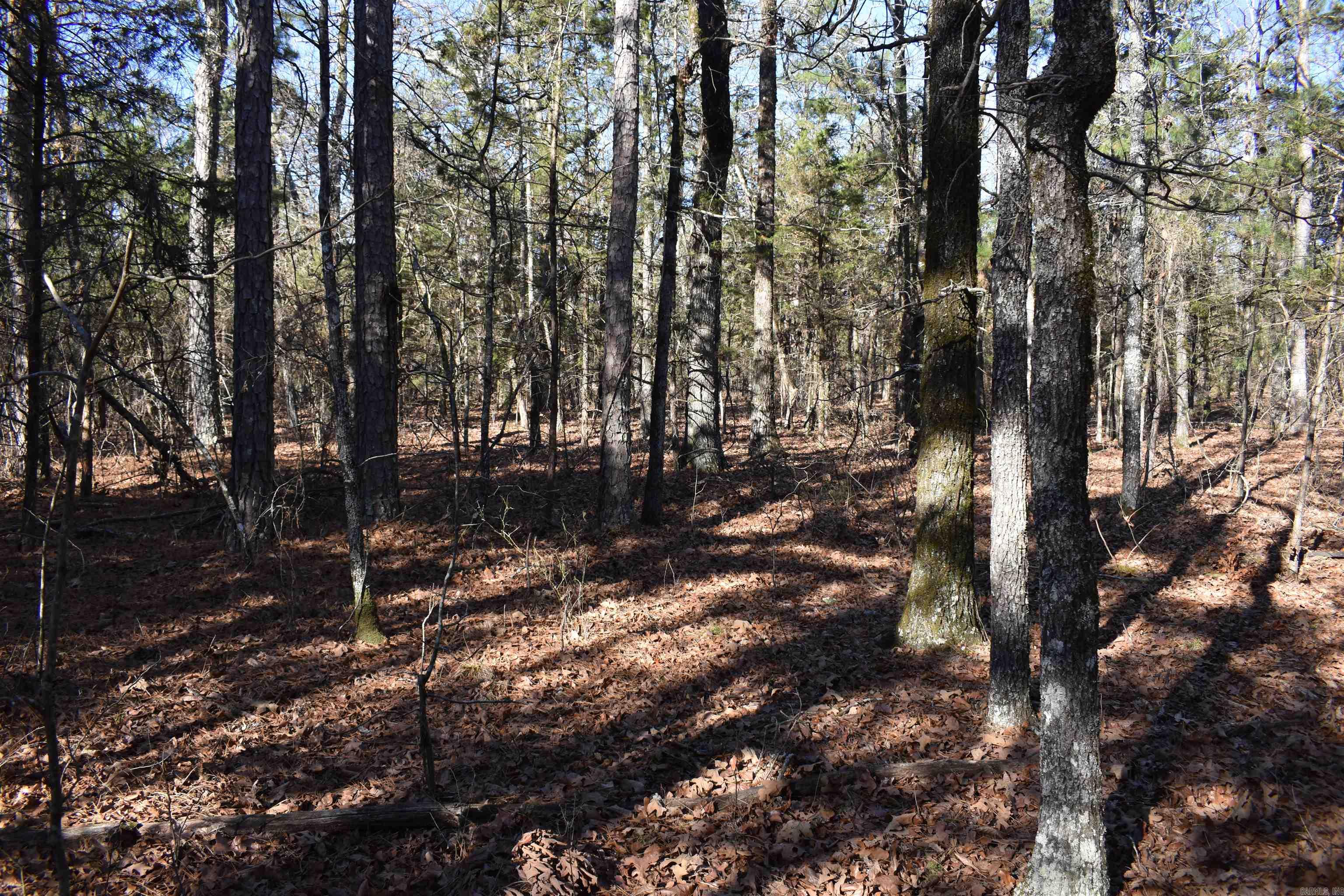 Metes & Bounds - Land