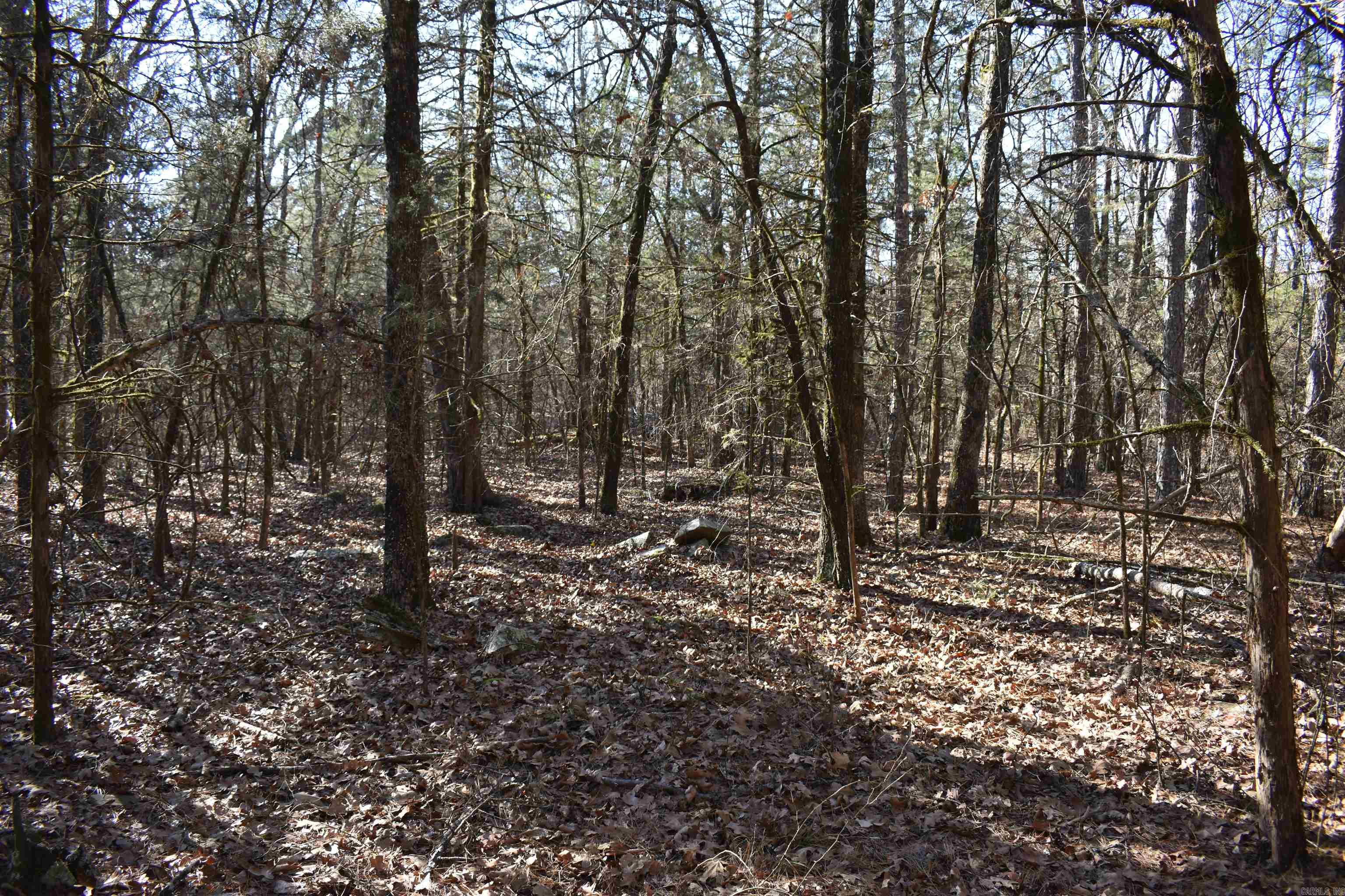 Metes & Bounds - Land