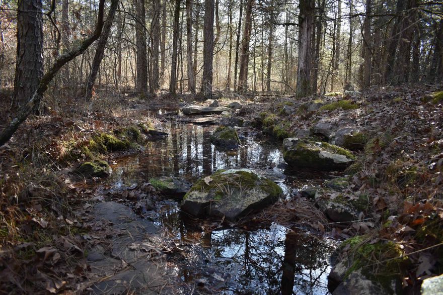 Located in Eastern Logan County in the community of Delaware, this 40 +/- acre timber tract is the perfect secluded recreational tract. Located over a mile off of State Highway 22 down a private easement road, the seclusion offered by this parcel is unmatched. The stand of mature timber covering the land features a mixture of oak timber, pine, and some large cedar. The timber varies from large open timber, to areas with more undergrowth that are perfect bedding areas for wildlife. While walking the property, deer sign is evident at every turn, and multiple great stand locations are no issue to find. A nice seasonal creek meanders through the property, with picturesque watering holes for deer and other game nearly year-round. With no hunting pressure in the last fifteen years, this tract is certain to have an abundance of game and is ready for its new owner. While being very private and secluded, the property is just a short twenty-minute drive from Dardanelle, and twenty-five minutes from Russellville. Lake Dardanelle is just minuets away, and multiple boat launches and access points are available in the area.