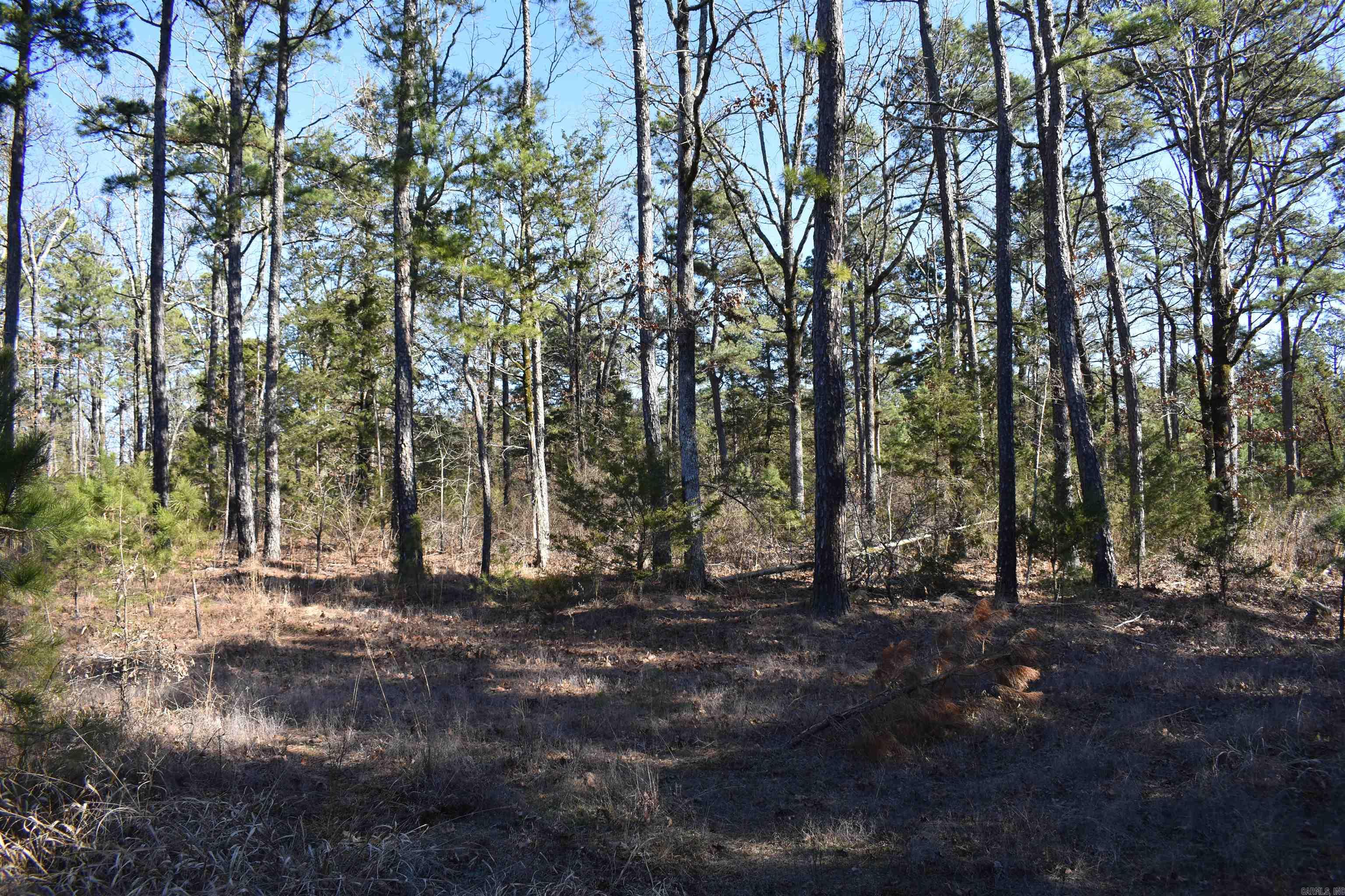 Metes & Bounds - Land