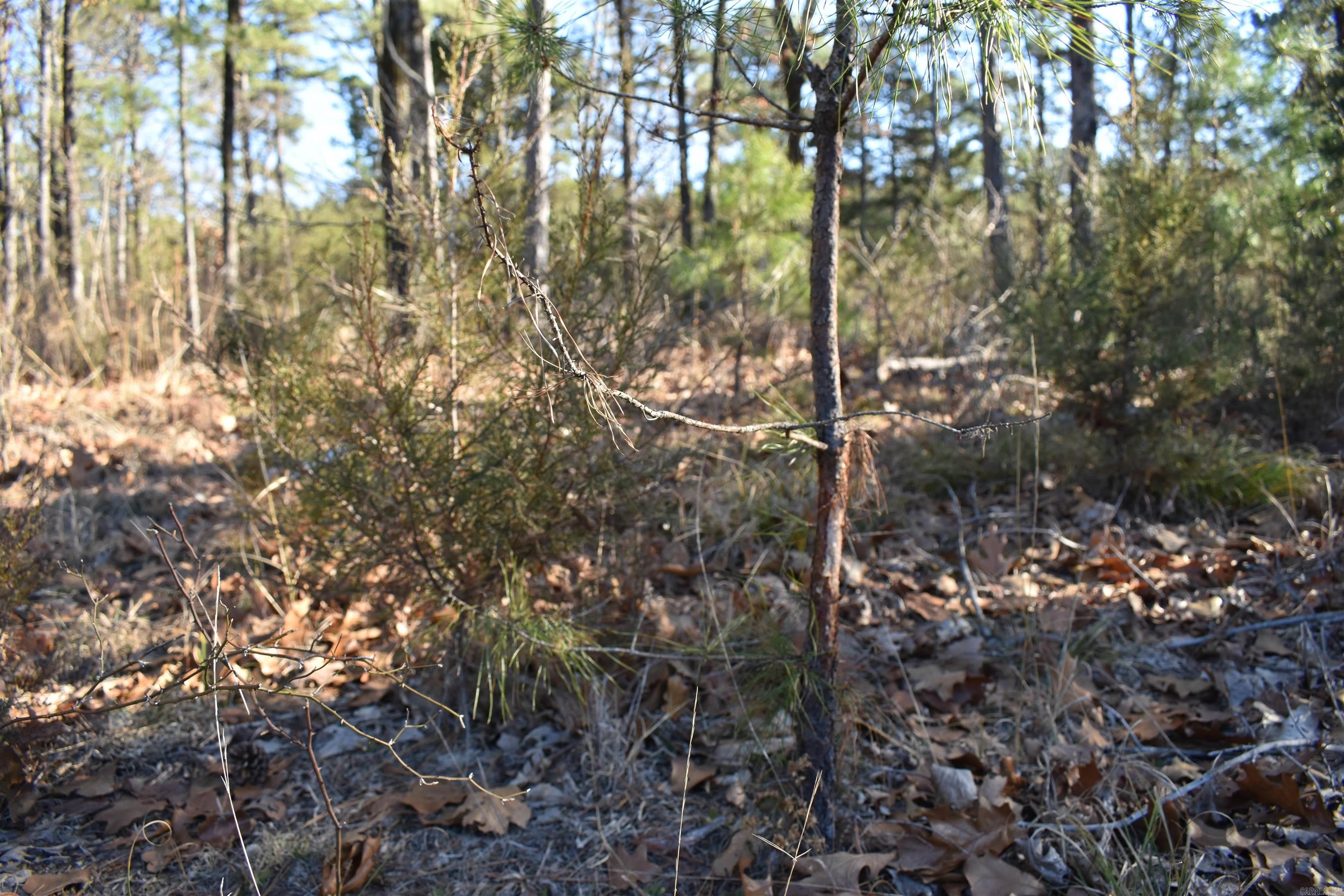 Metes & Bounds - Land