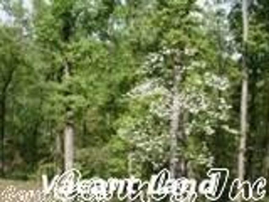 Great lot to build your next home on!  Wonderful Maumelle neighborhood that's already established. DON'T MISS OUT!!!