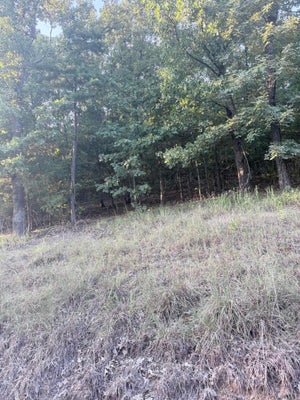 14 RIDGE LN, MAYFLOWER, AR 72106 - Image d2c9367c05a7a02fc3cbff2767aeb9b5/2351869917