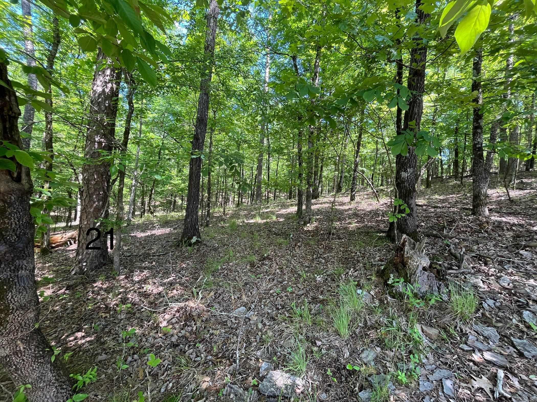 Here is your chance to build your dream home in the sought after Driftwood Point area. Lot 21 is sloped with underground utilities and deeded lake access. Located in the desirable Lakeside School District.