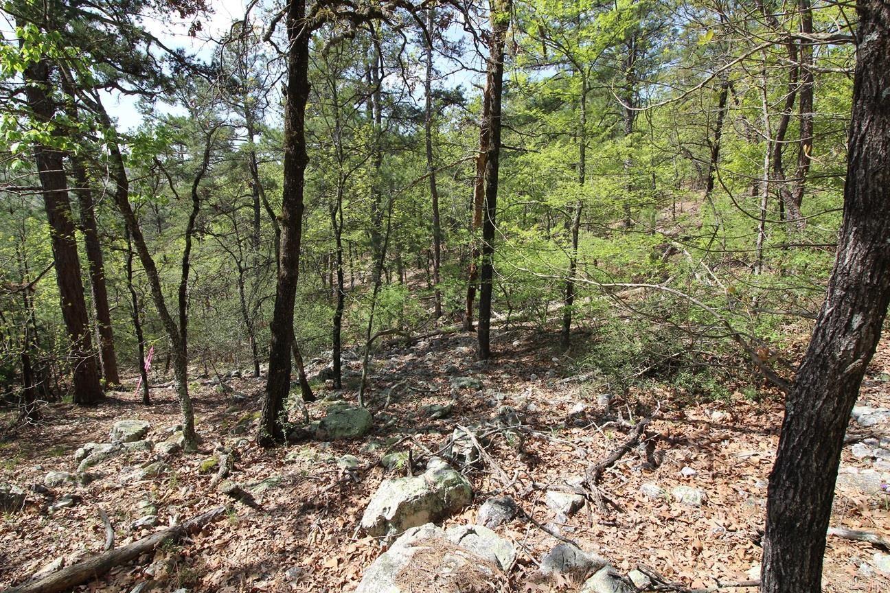 Not in Subdivision - Land