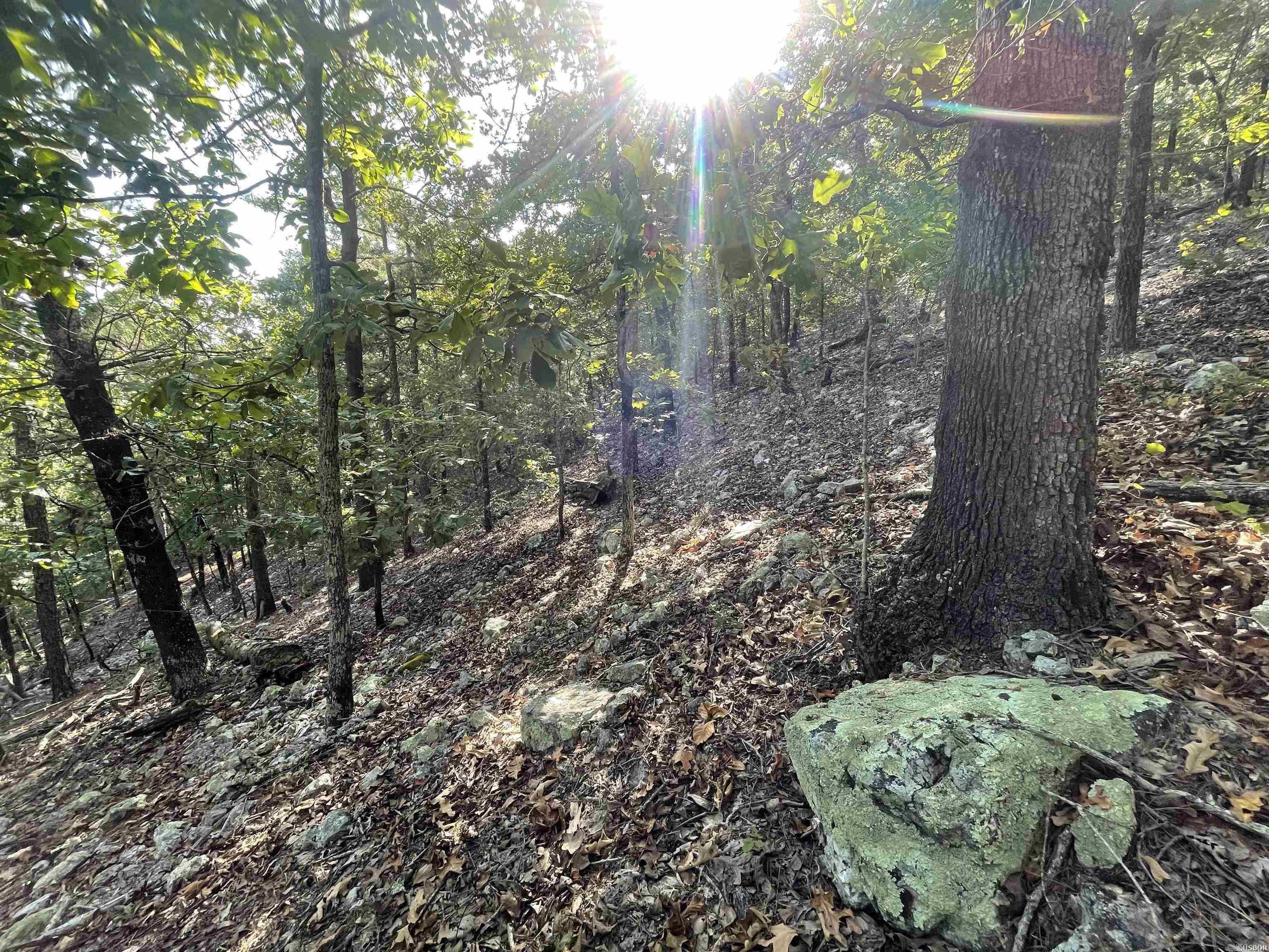 Not in Subdivision - Land