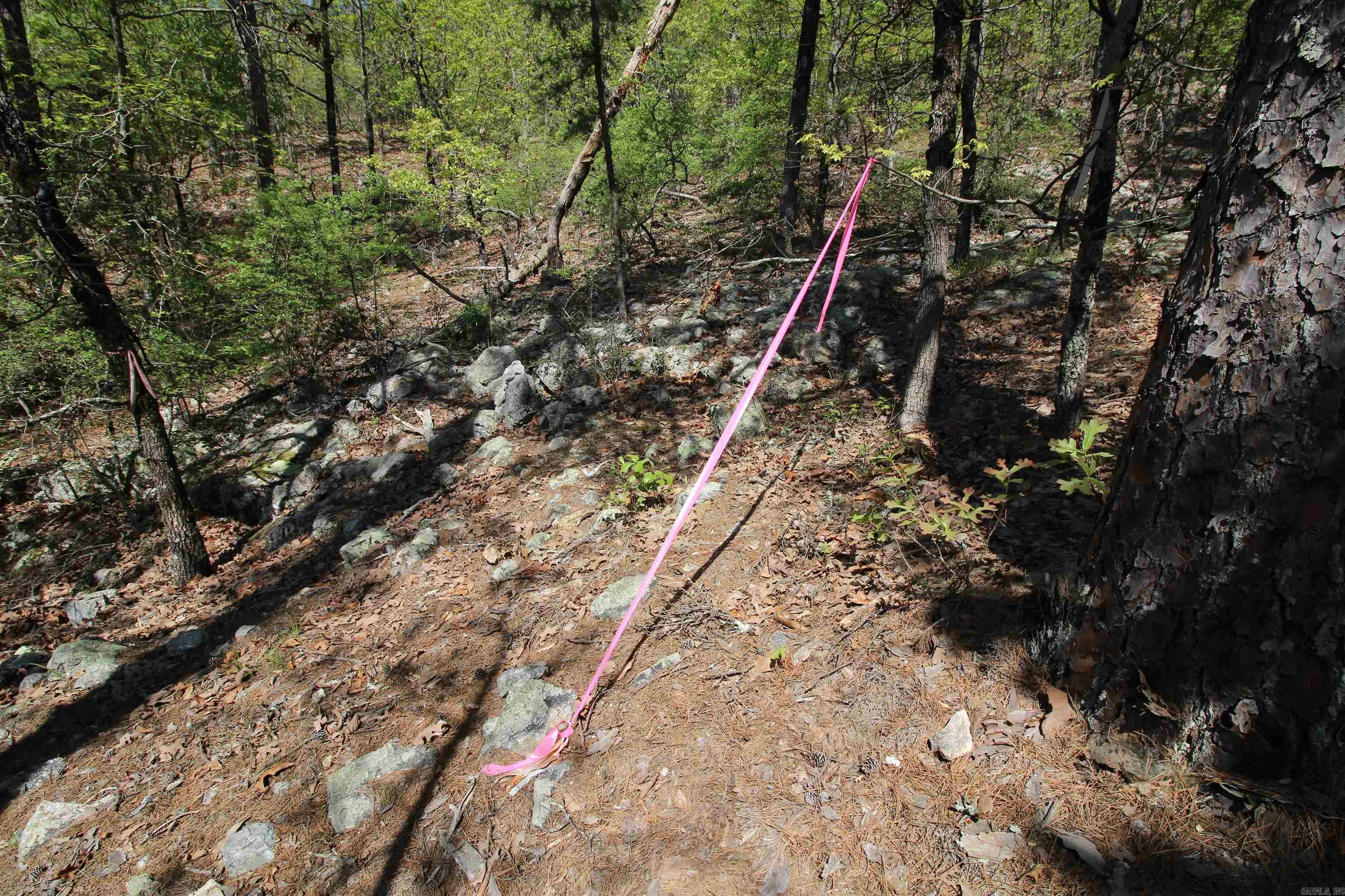 Not in Subdivision - Land