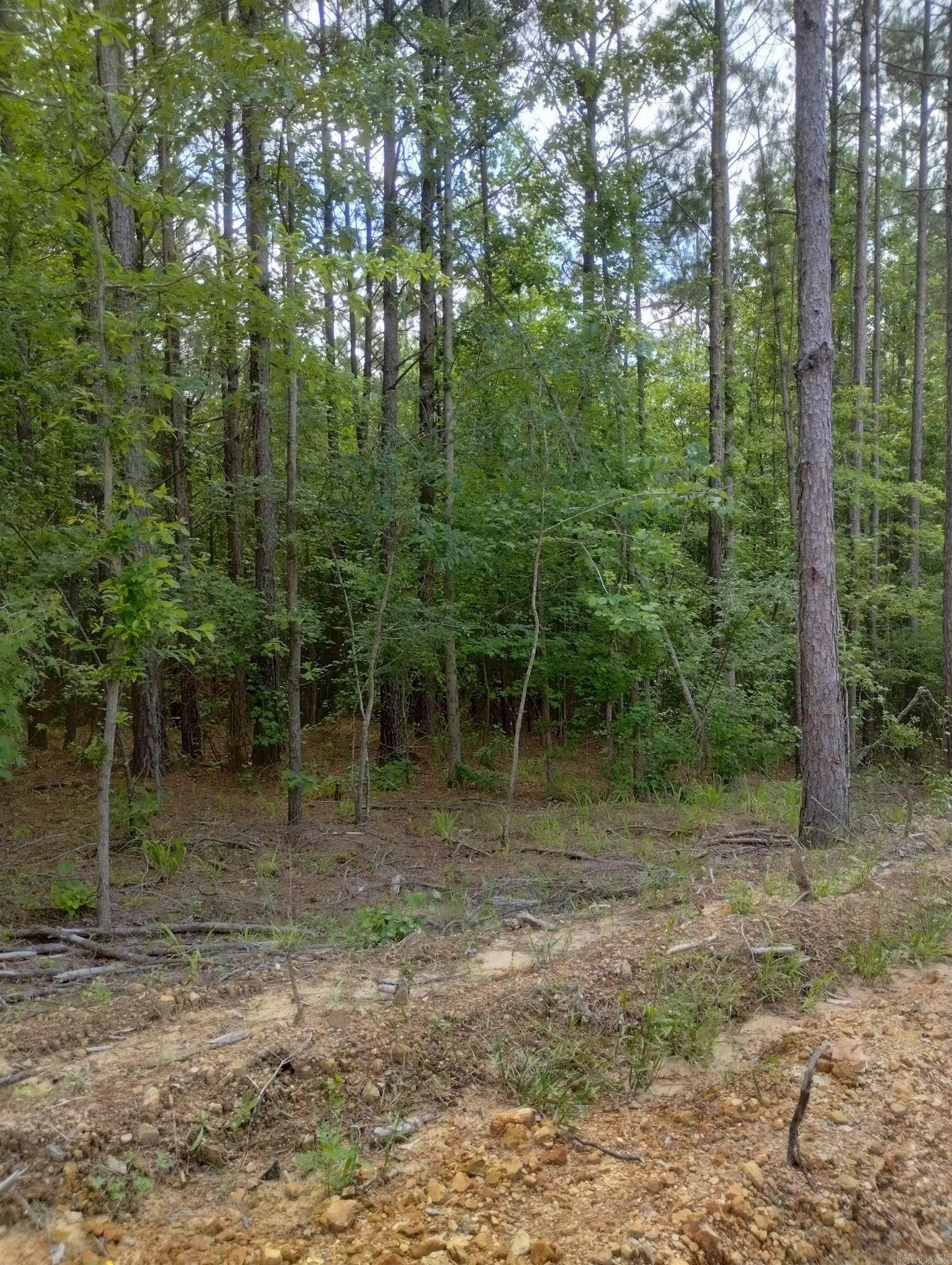 Metes & Bounds - Land