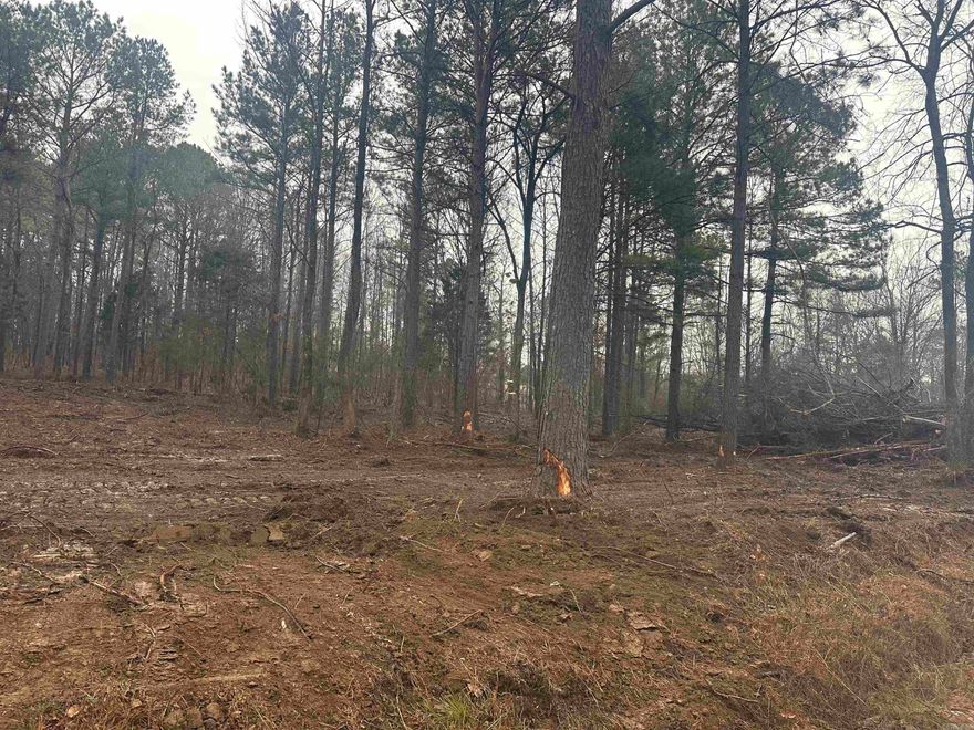 Looking for small acreage, nice wooded homesite with Bob Hall Road frontage and utilities nearby. Owner financing with 20% down.  Tract D