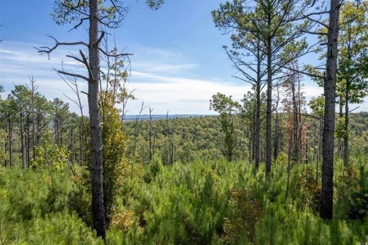 342.60 acres of woods and mountain views.