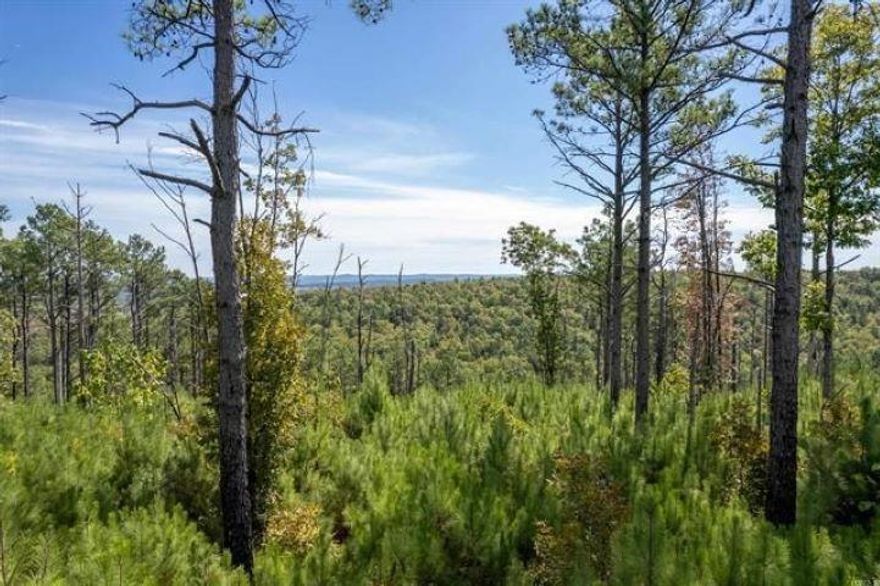 342.60 acres of woods and mountain views.