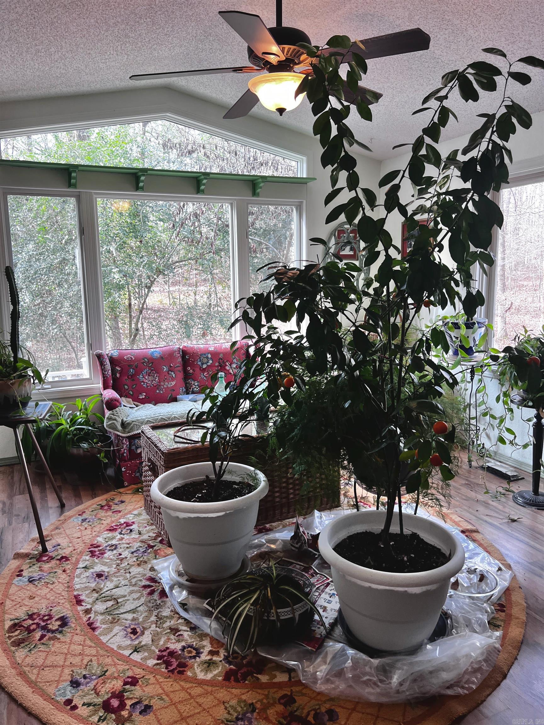 CASTILLO - Residential