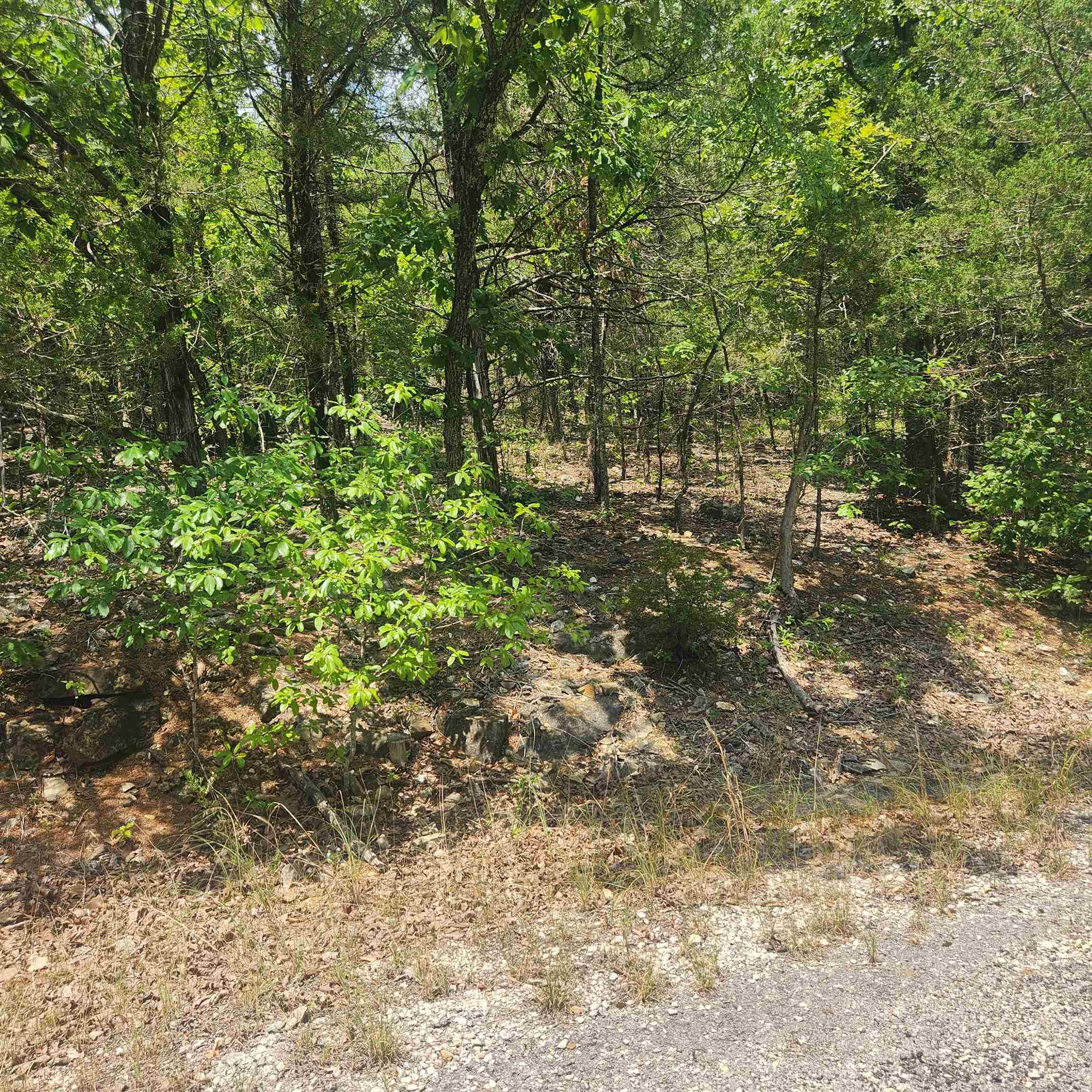 Wonderful and wooded lot in the heart of Cherokee Village. Secluded and away from it all. Buy this lot and pick your spot to build your dream home or just a getaway cabin. With ownership of this lot you have access to all the amenities of Cherokee Village such as the lakes and golf courses and Thunderbird Center and swimming pool, mini golf, parks, hiking trails and don't forget about the beautiful Southfork River.