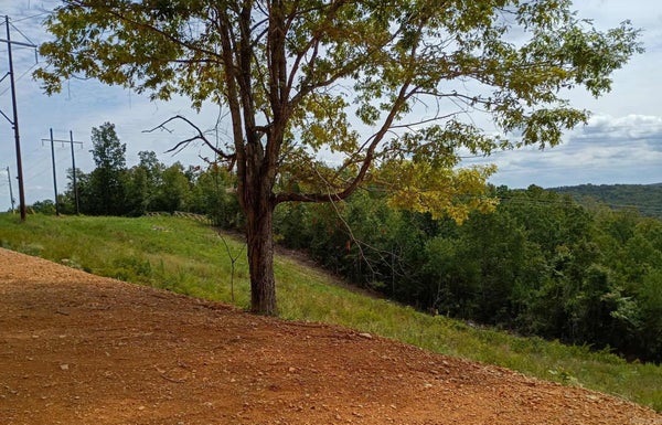 2556 OAKLAND RD, CLINTON, AR 72031 - Image d307dffb779eb2cd99b6d90e517f4775/3119236720