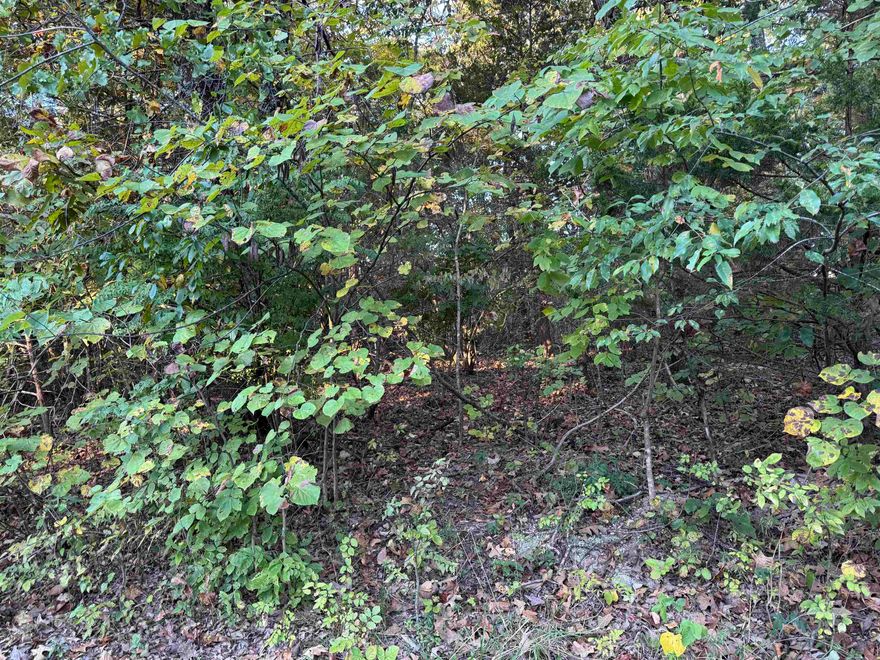 Three lots that are being sold together. Two of the lots are side by side, and two are corner lots. The address of the third lot is 1109 Parkway Lane. All lots have a limited warranty deed. There is a yearly fee of $80.00 per lot for Parks and Recreation for the upkeep of amenities.