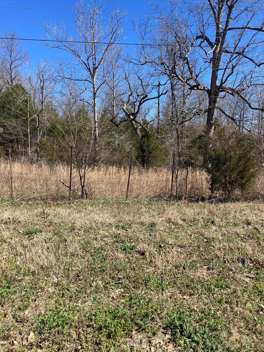 Great location to build. Property could be for a commercial or residential property. Just 45 minutes out of Jonesboro and close to the Spring River and Martin's Creek!