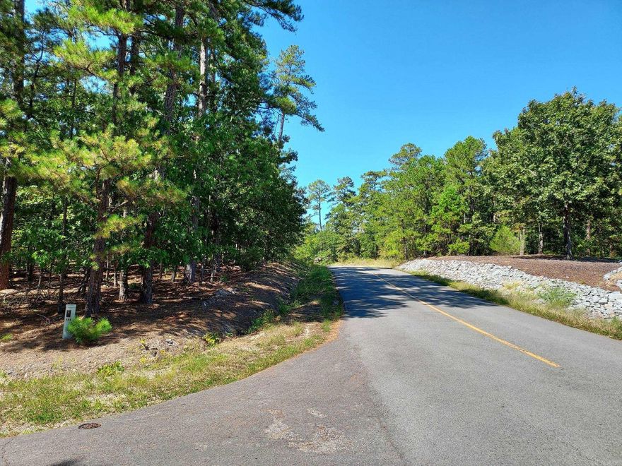 Ideal building lot located on corner of Hartura Way and Tiburon Way. Directly across from Lake Balboa. Beautiful homes in the neighborhood. Easy walkable area to enjoy all the views of the lake. Convenient to Balboa card gate whether you are headed for Little Rock , Hot Springs or shopping on Hwy 7 North. Hot Springs Village Property Owners Association has a $250.00 buy-in fee for new members due and collected at closing.