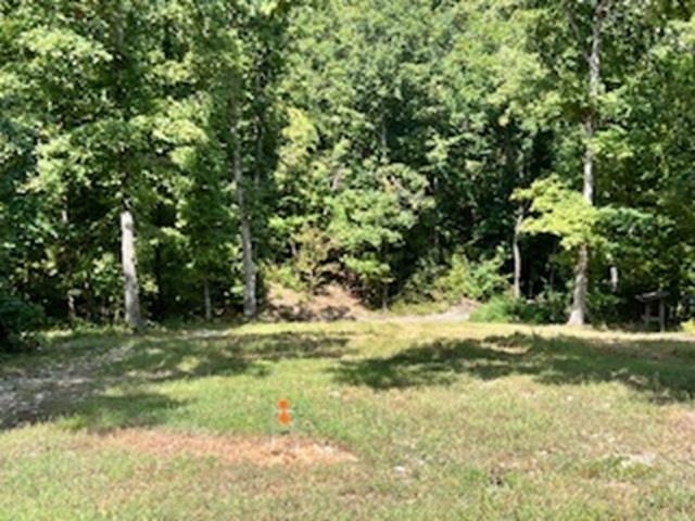 Matthews Mountain Estate - Residential