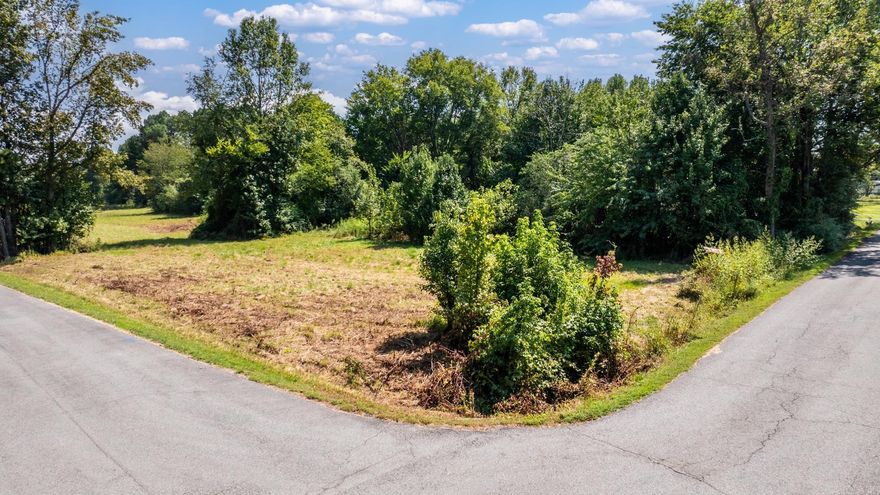 Discover McKenzie Meadows, a quiet one-street subdivision known for its expansive, estate-like grounds and beautiful, mature trees. This vacant 3-acre corner lot provides the ideal canvas for your custom dream home. Zoned residential with light covenants designed to protect long-term property values (no mobile homes & 1800SF minimum). All utilities including water, electricity, and natural gas are conveniently located at the road. The property has been recently surveyed and sits outside of city limits. There's plenty of level space for a pool or shop, or bring your horses and cattle. Check out the video! Your dream property awaits. Covenants, perc test, and survey on file.