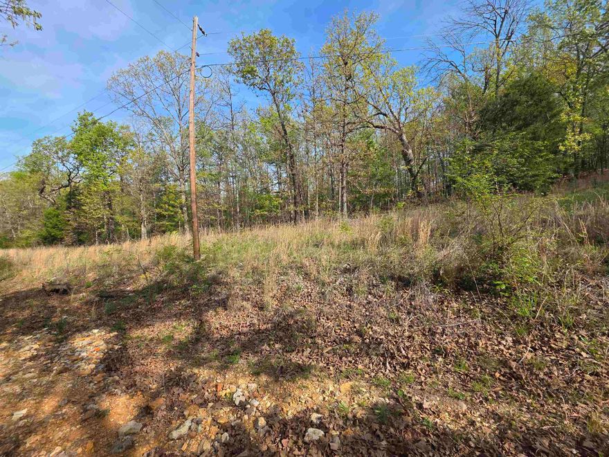 Nice lot on Rocky Top Trail located in an unrestricted area of Ozark Acres Just off one of the main throughfares in Ozark Acres. This lot is mostly secluded and has 95ft of road frontage on a gravel road it has a gentle upslope. the land lies very nicely. Power available at the street. Schedule some time to ride out and get a look at this lot and pick your spot to build your vacation cabin, a winter home or even your forever home. Ozark Acres has 2 lakes and is located just down the road from Ole Hardy town for great shopping, dining and entertainment. Not to mention the beautiful Spring River for great fishing and kayaking.