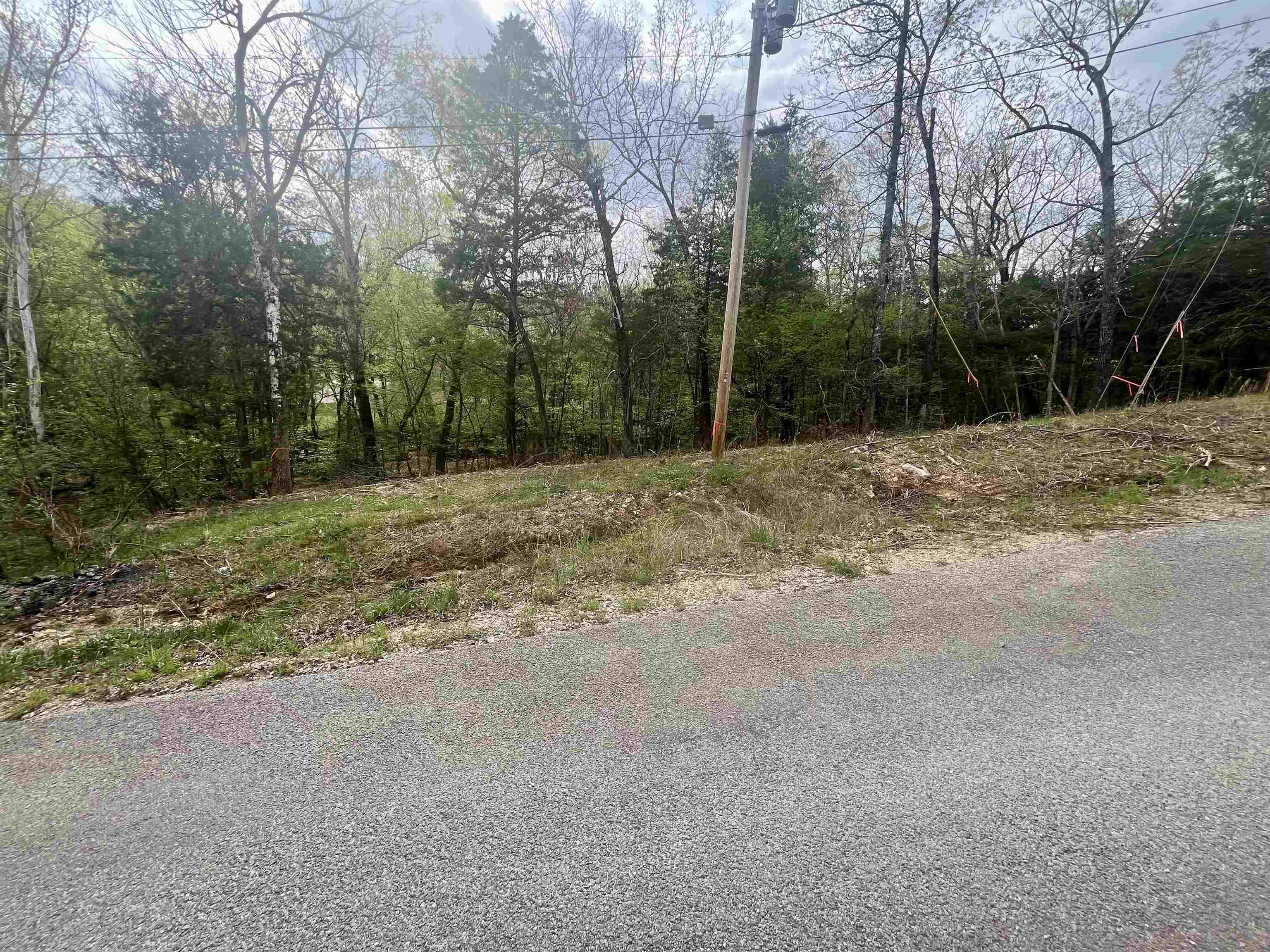 Great opportunity to own a lot just a short walk from Rainbow Lake! Located off paved Rainbow Drive, this property offers easy access in a peaceful setting. Perfect for a weekend retreat or future homesite in the heart of the Ozarks.