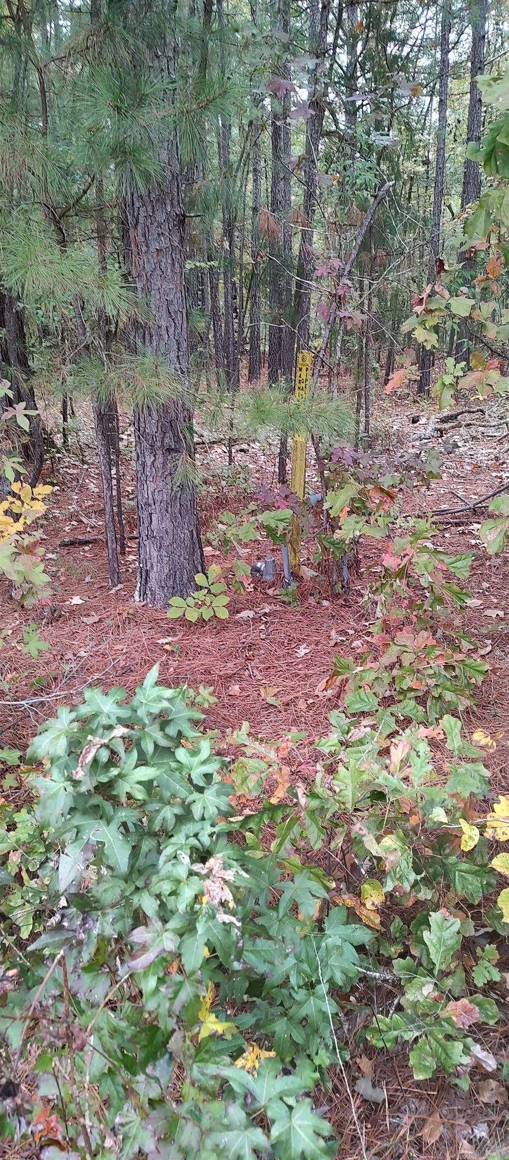 Metes & Bounds - Land