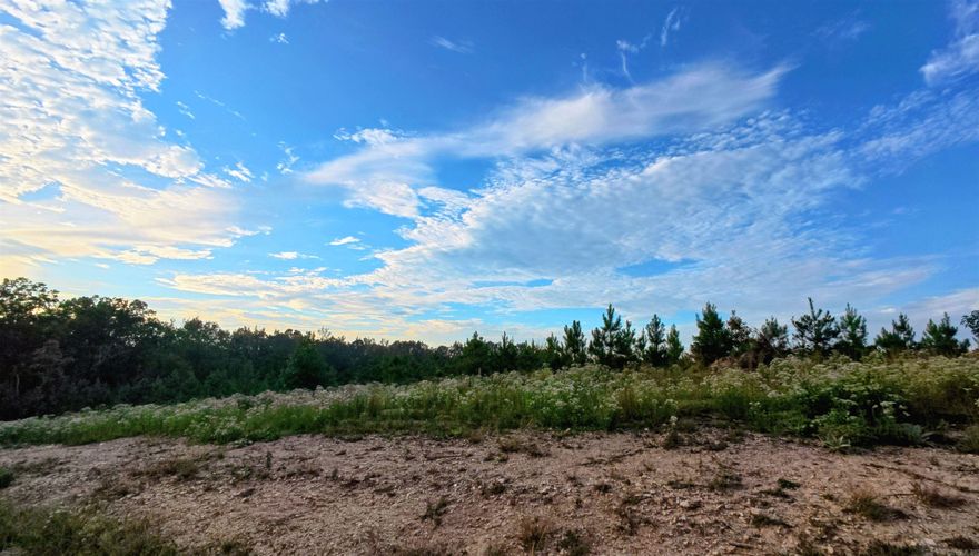 Discover your dream homesite in Millcreek Estates, Lonsdale, AR! Lot 33 offers a peaceful, natural setting- perfect for your custom build.