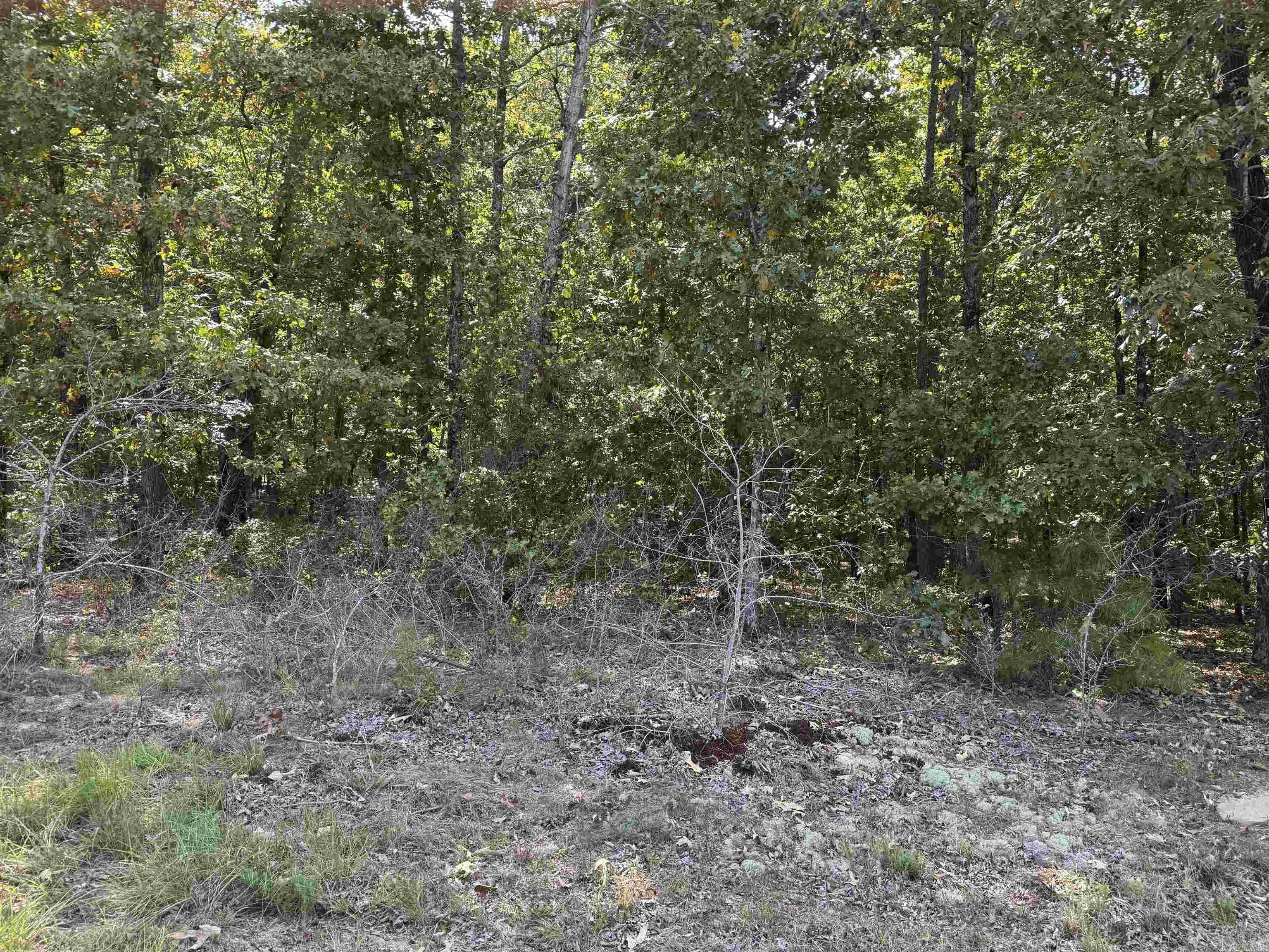 Discover the perfect spot to build your dream home on nearly 2 acres of wooded land, nestled on a quiet street just outside the city. This serene property offers privacy, natural beauty, and plenty of space to create your ideal retreat—while still being conveniently close to town. Whether you envision a cozy cabin, a modern farmhouse, or simply a peaceful getaway, this land provides the perfect canvas. Don’t miss the chance to own your own slice of tranquility!