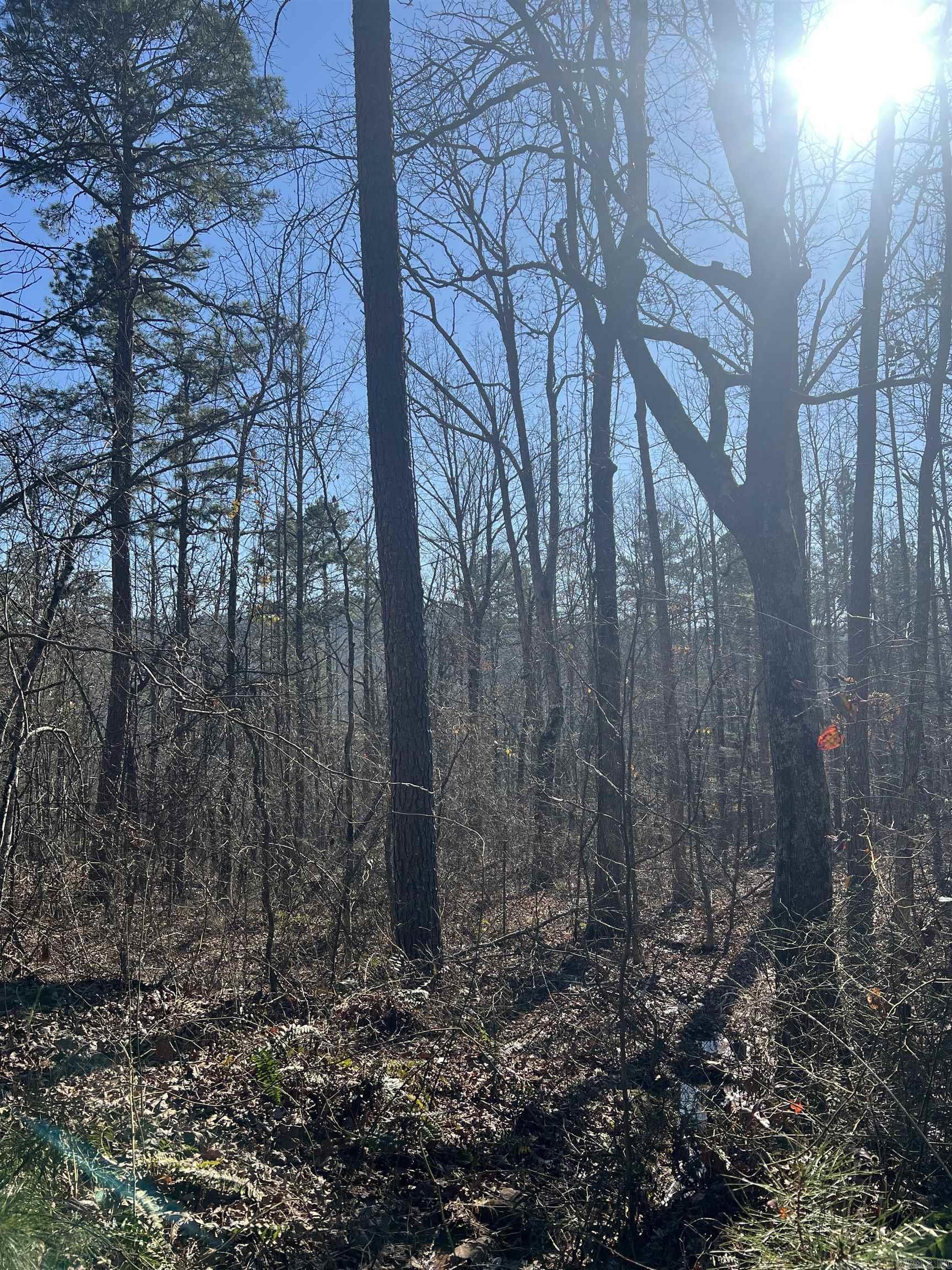 Great secluded hunting land.  Wooded with a creek and large rock formations.  This area is known for large deer, bear and turkey.