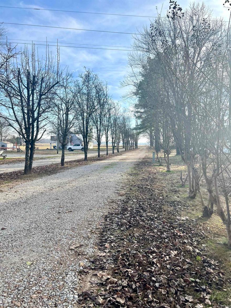 Build your dream home on this gorgeous property! 5 +/- acres in Westside School District for building site. Approx. 3.99 acres are off of County Road 321, with an additional 1 acre adjoining that has access to County Road 324. Perc test has already been completed. City water and Craighead Electric available. Septic system will be required. Call for more details.