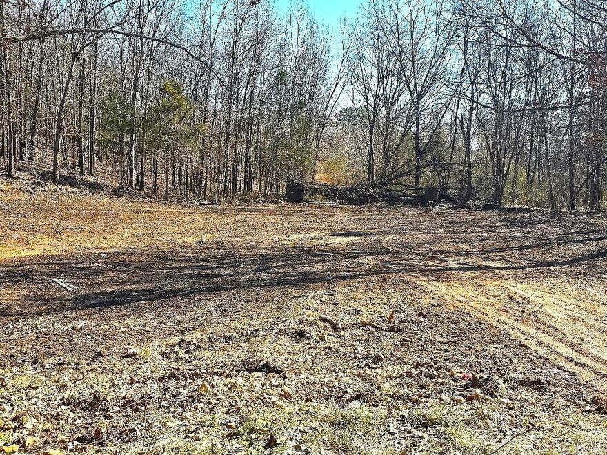 No restrictions! Partially wooded for privacy, but still room for a home. This 1.00 acre m/l lot already has electric and water on the property. Seller has no knowledge on septic or condition if present.