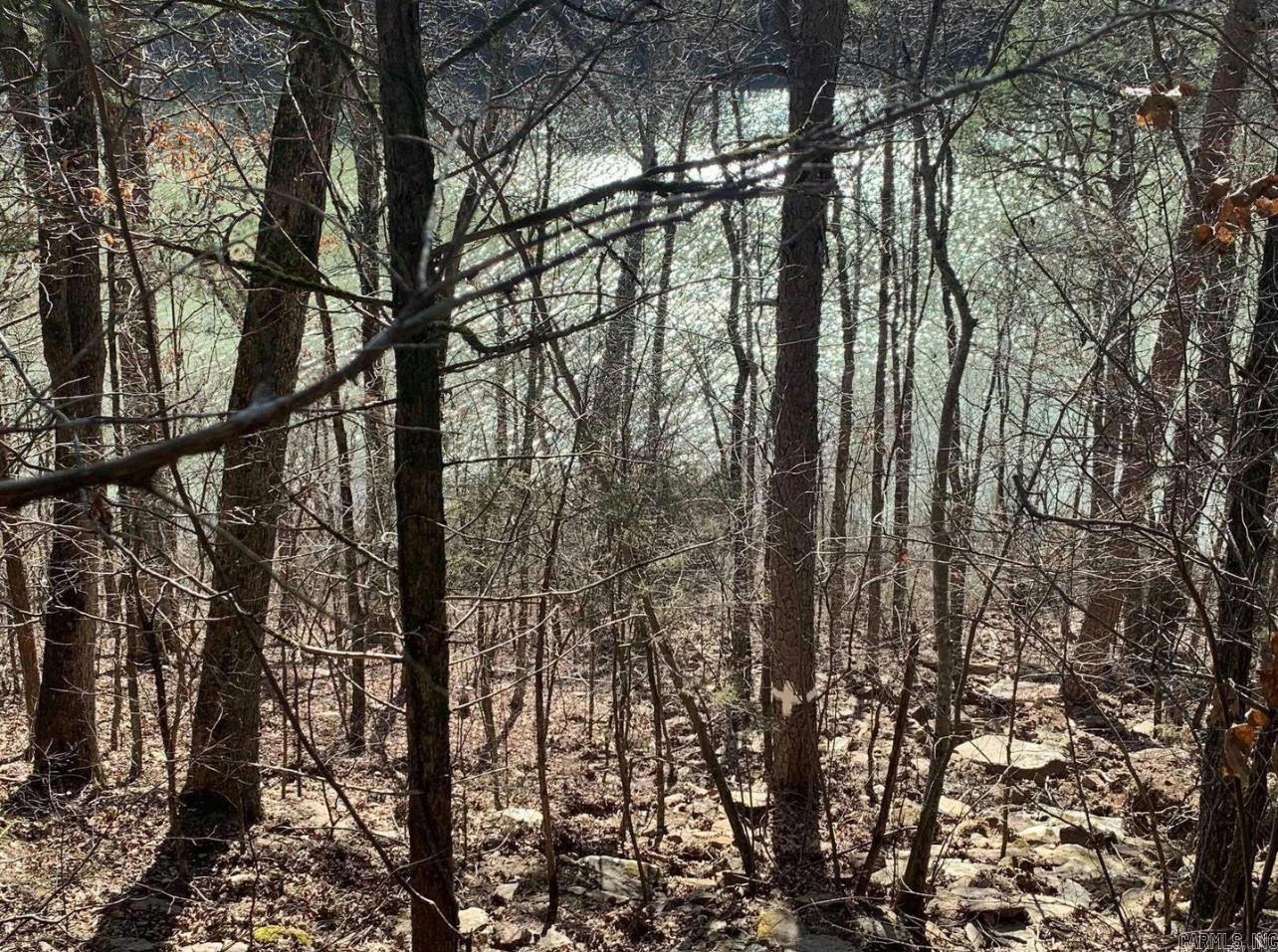 Lakewood - Land