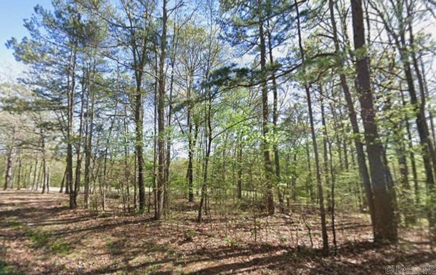 Welcome to Lot 112 in the Castle Ridge Heights Subdivision! This is the perfect spot to build your next home or getaway in the peaceful Fairfield Bay area. This lot offers the quiet, wooded setting you’ve been looking for with the convenience of nearby amenities, including Greers Ferry Lake, marinas, trails, and golf courses. Whether you’re planning to build now or invest for the future, this property puts you in a growing, scenic community surrounded by natural beauty.