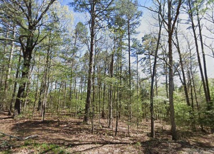 Castle Ridge Heights - Land