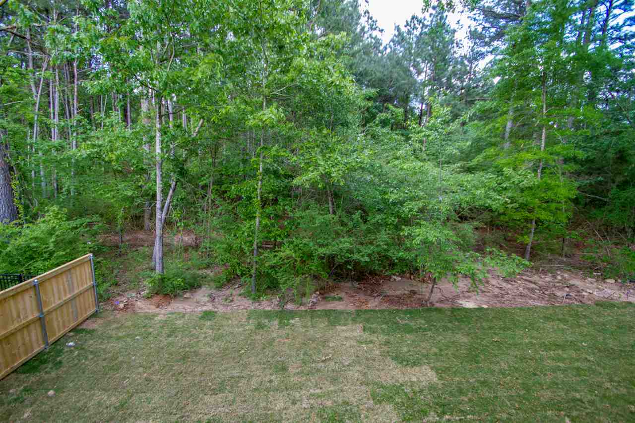 The Village at Ison Creek - Residential