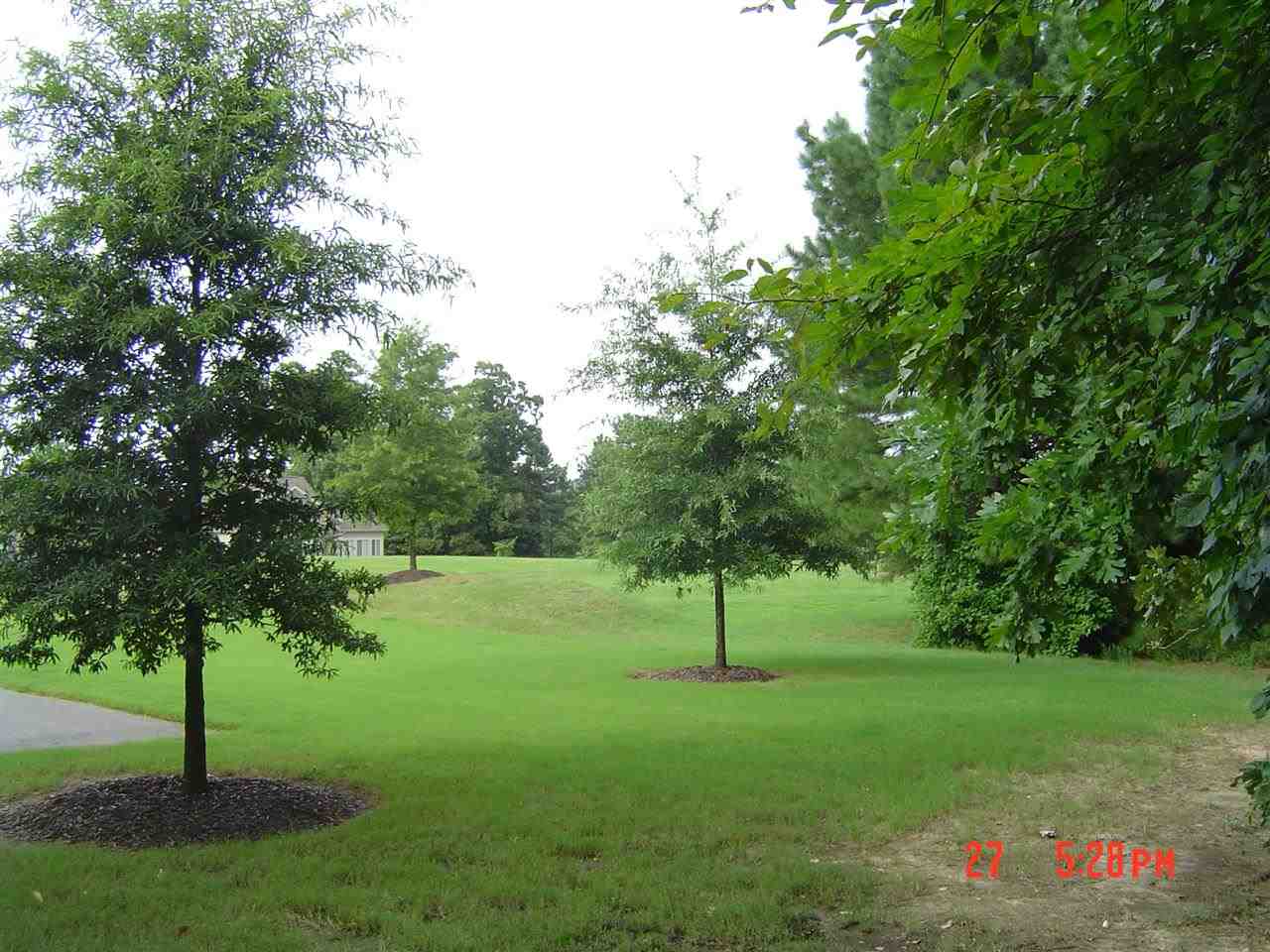 Mountain Terrace Estates - Residential